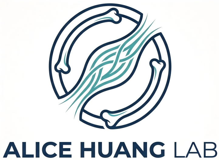 Alice Huang Tendon Lab