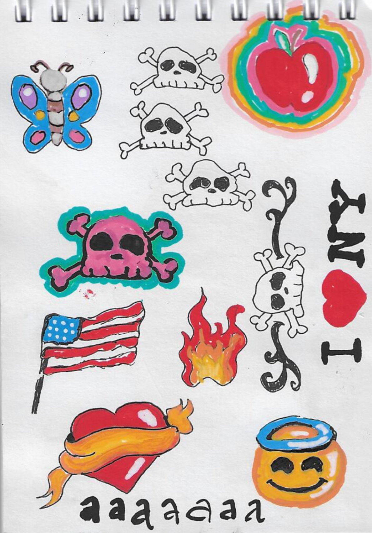 IMG_6488.png