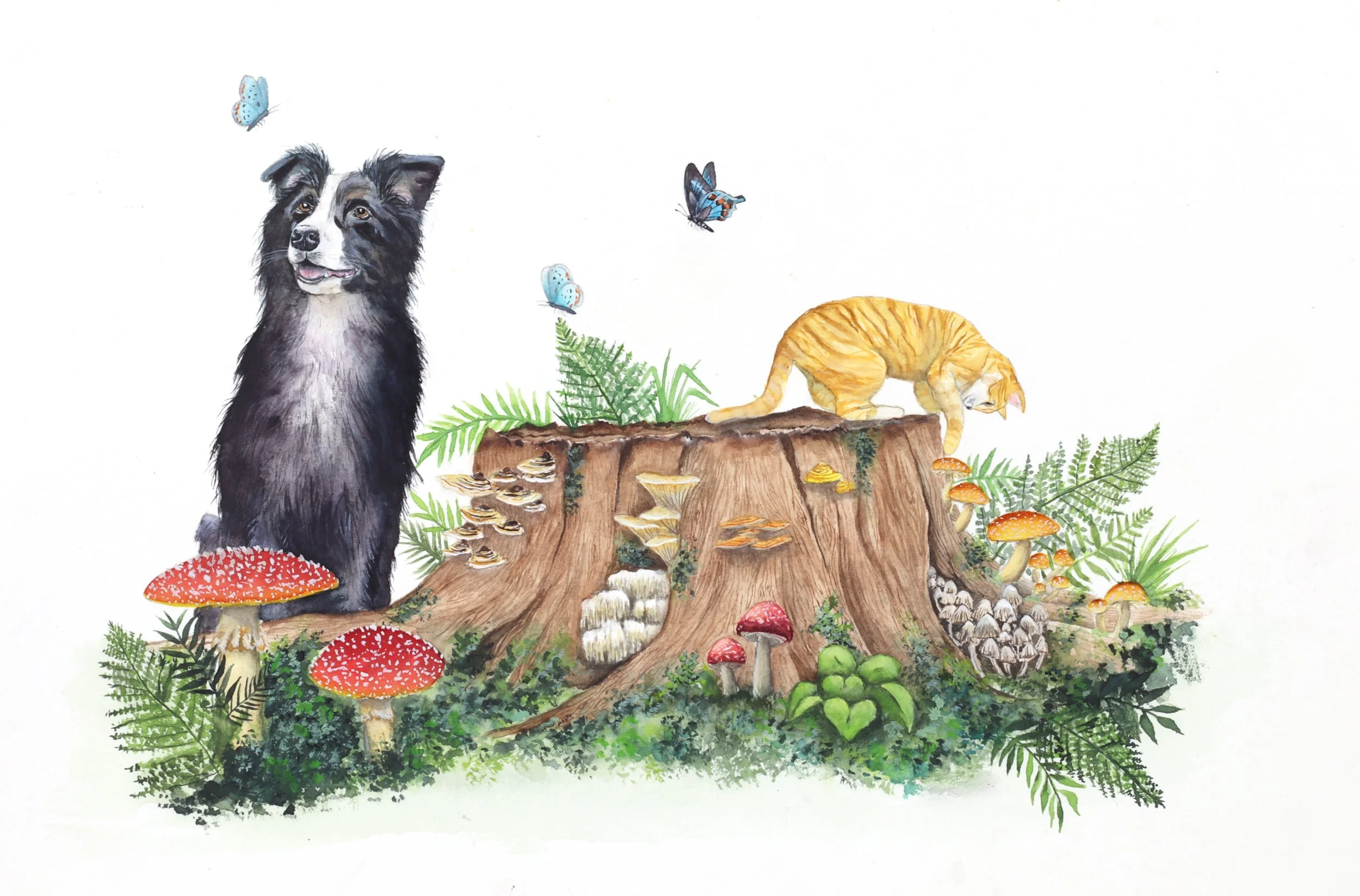 Illustration of a forest scene with a black and white dog, orange tabby cat on a tree stump, red and white mushrooms, green ferns, and blue butterflies.