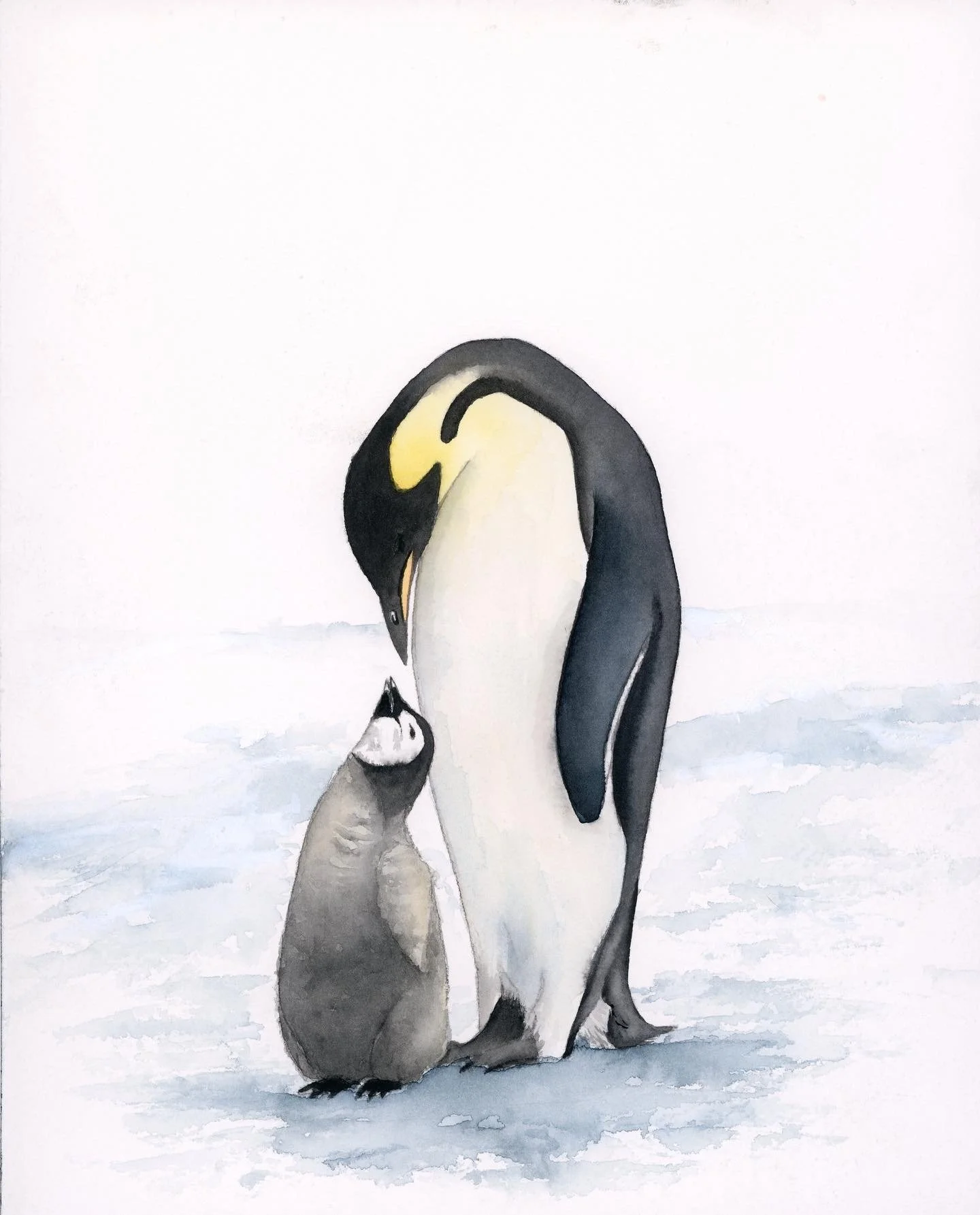 Watercolor painting of an adult and a baby Emperor penguin on ice, with the adult gently touching its beak to the chick's head.