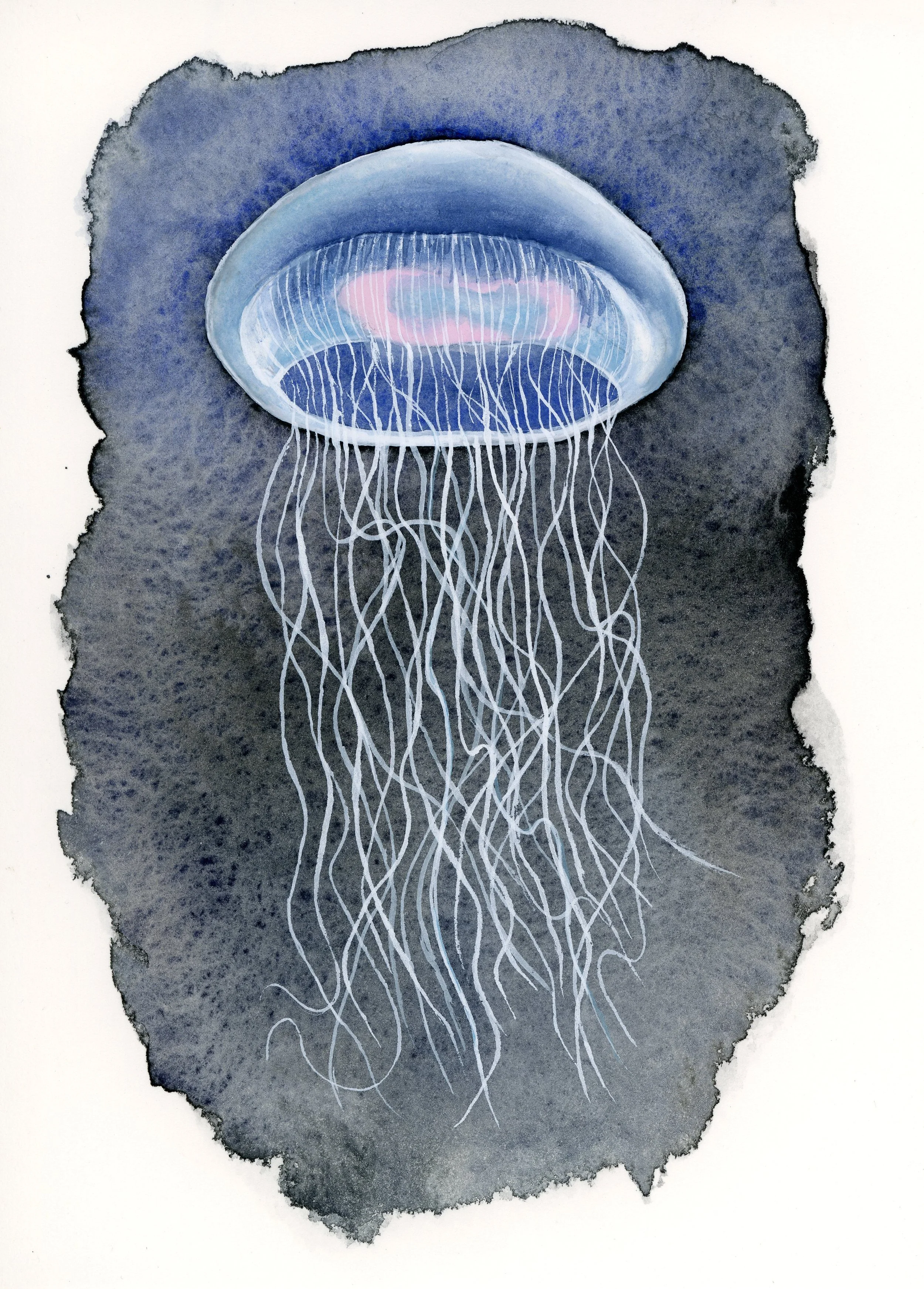Watercolor painting of a jellyfish with a semi-transparent, rounded bell and long, flowing tentacles against a dark background.