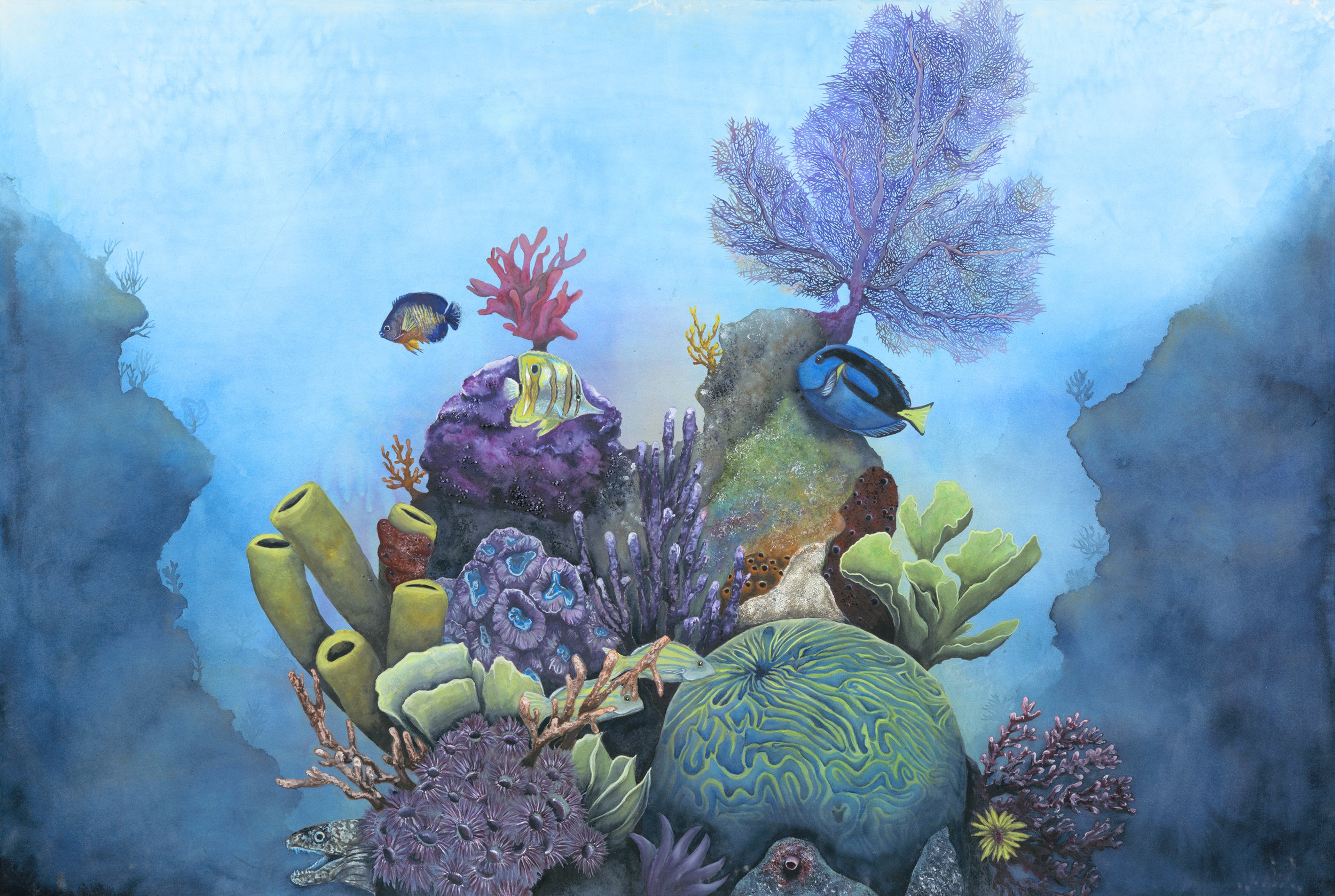 Colorful Underwater Coral Reef Scene with Different Fish and Marine Plants