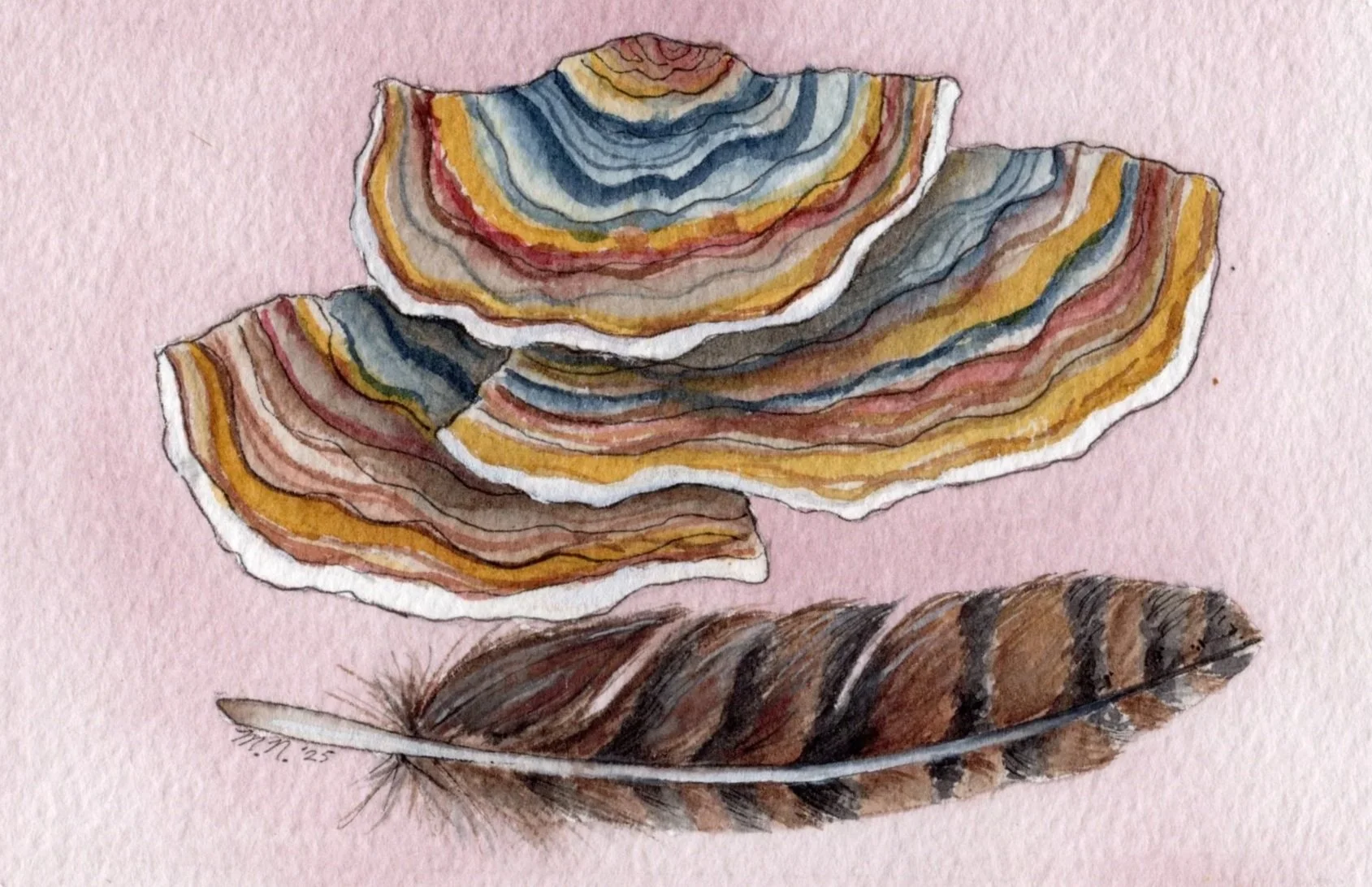 A watercolor painting of layered, colorful feathers and rocks on a pink background.