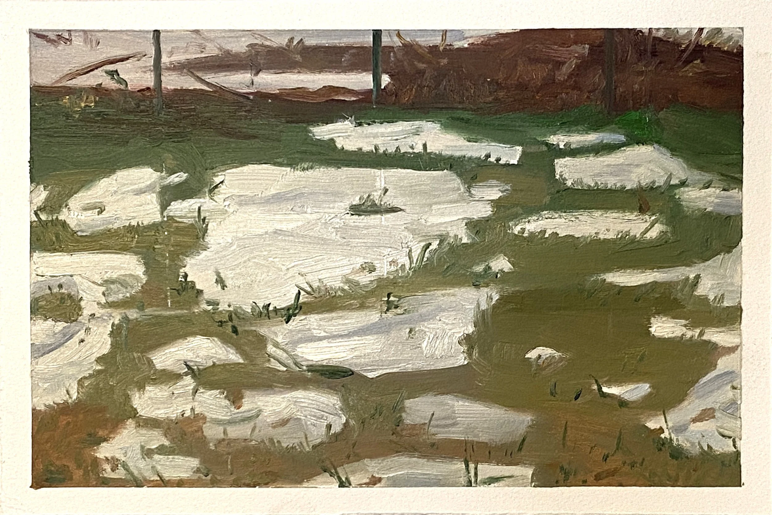 Untitled, 2025
Oil on paper