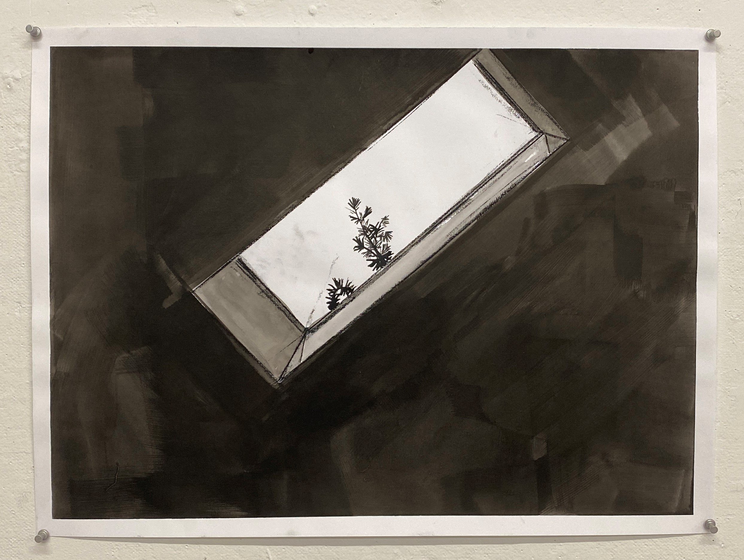 Isolation Drawing (Day 30), 2021
Ink and conte on paper