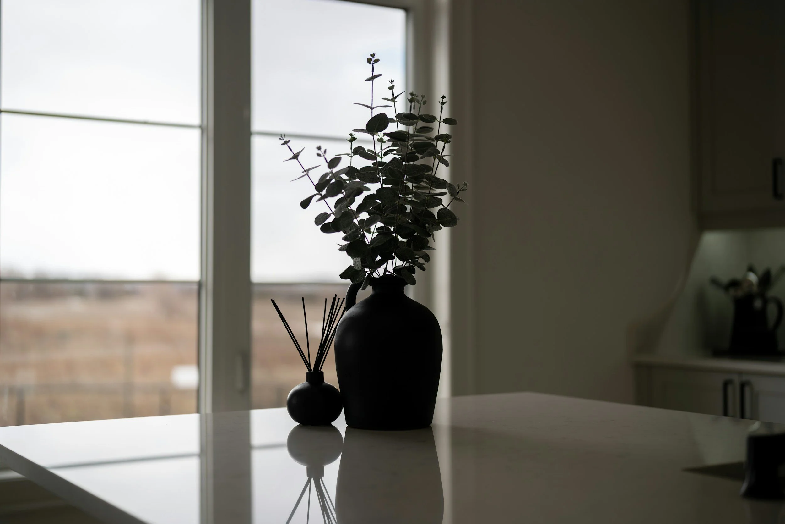 A silhouette of a flower arrangement in a black vase on a white table, with a window in the background showing a cloudy sky and a distant landscape.