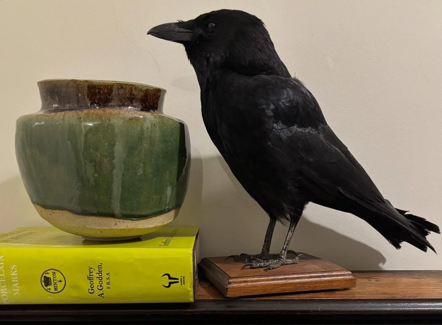 Crow assessing another altered form. #pottery #ceramics #clay #ceramic #stonewarepottery