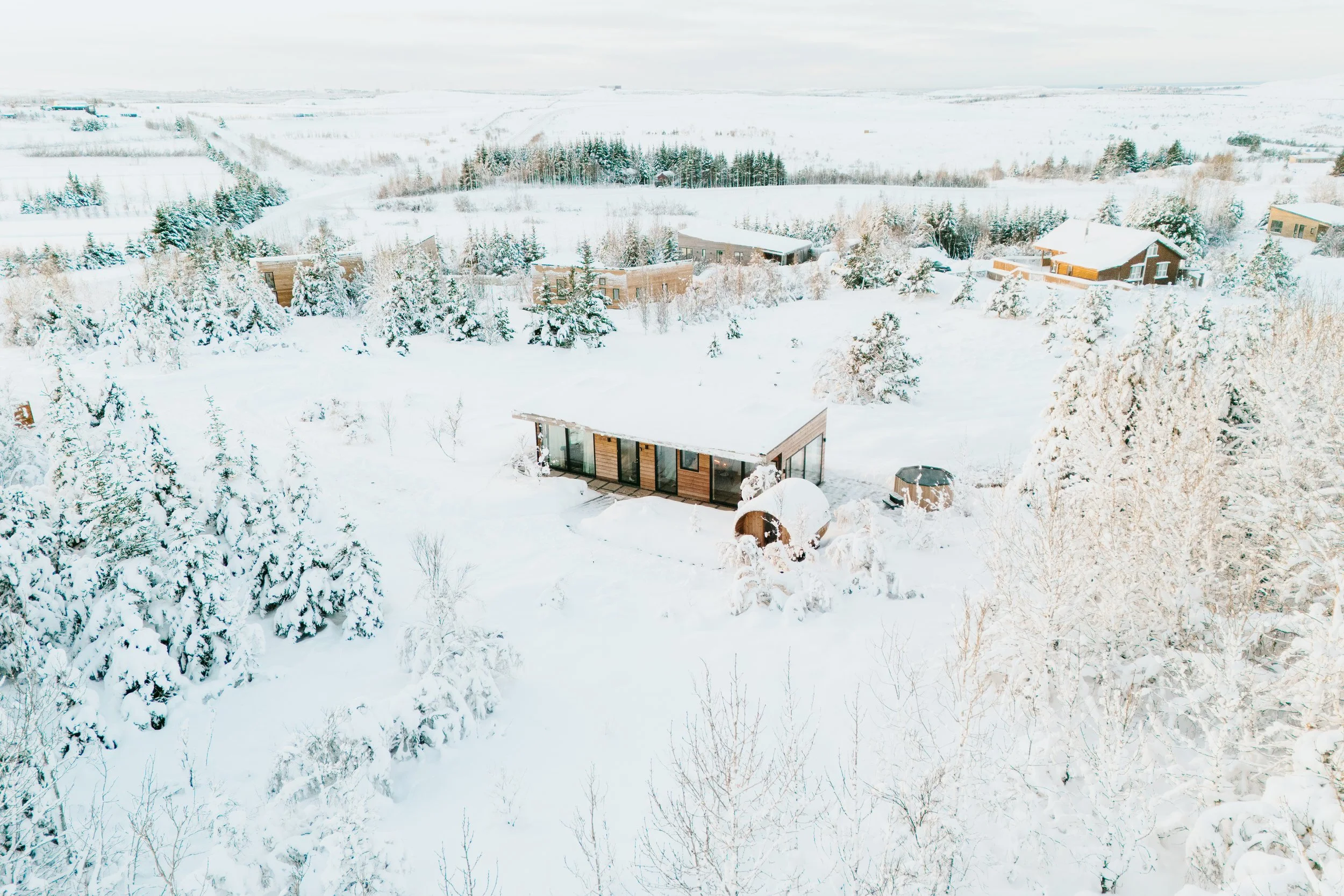 DJI_20250129151637_0099_D.jpg