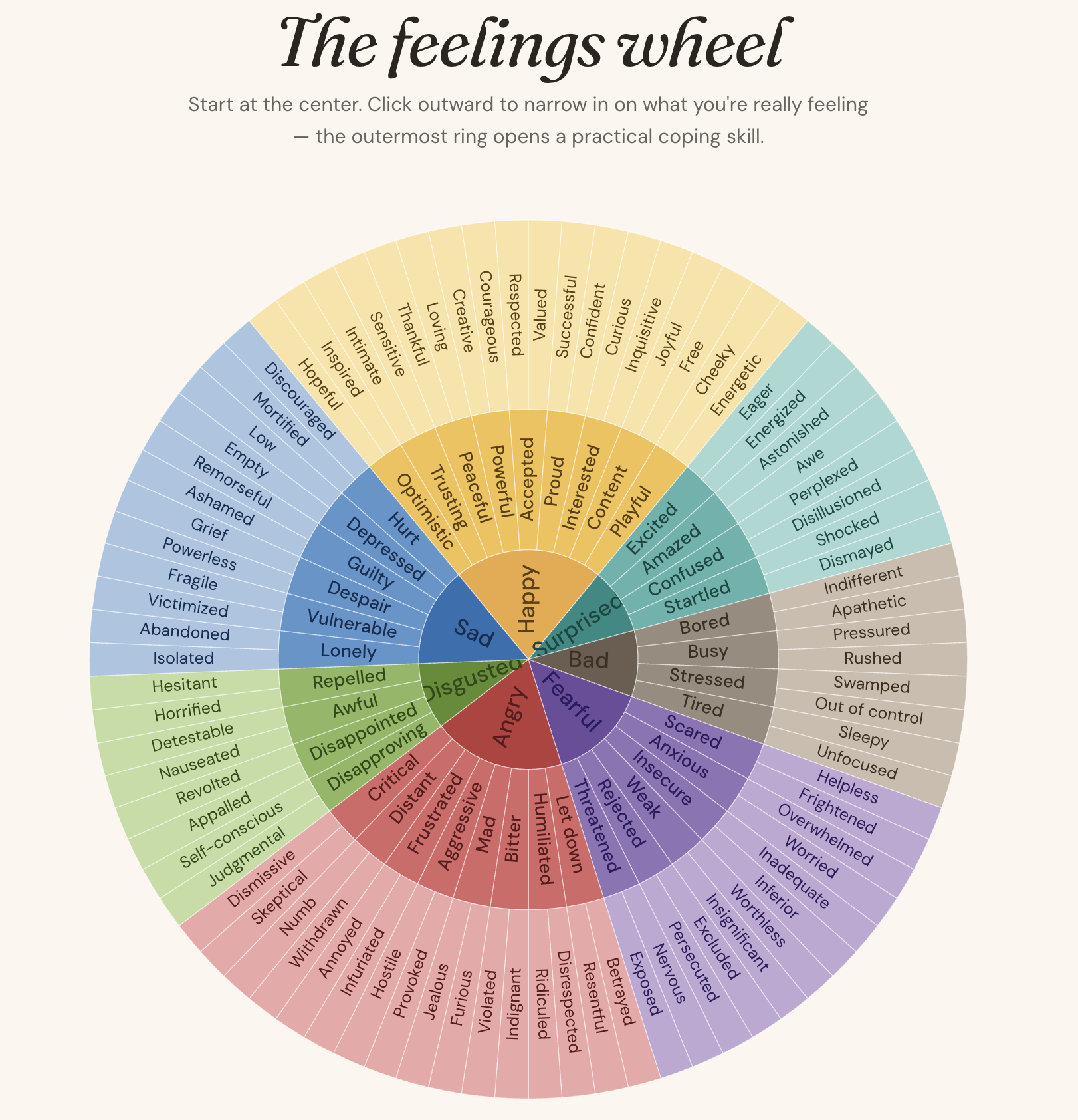 Feelings Wheel