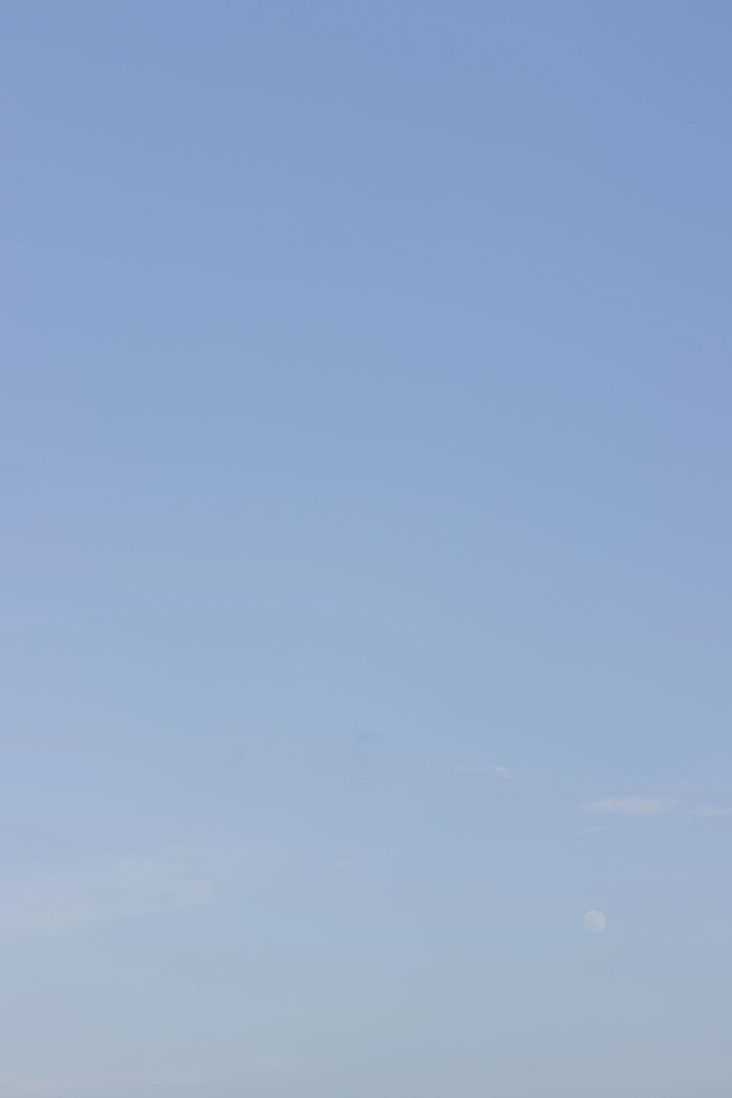 IMG_9568.JPG
