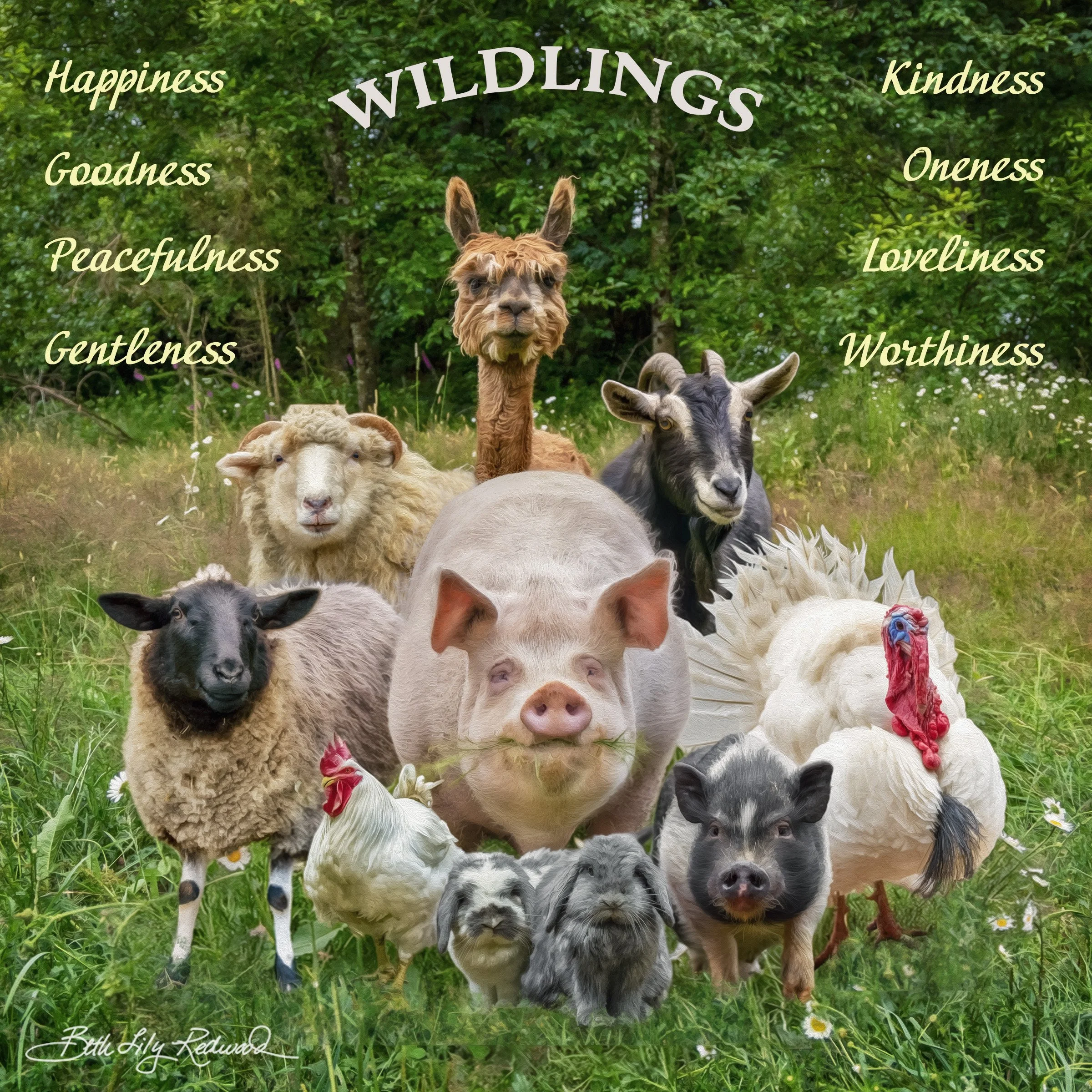 Wildlings Forest Sanctuary
