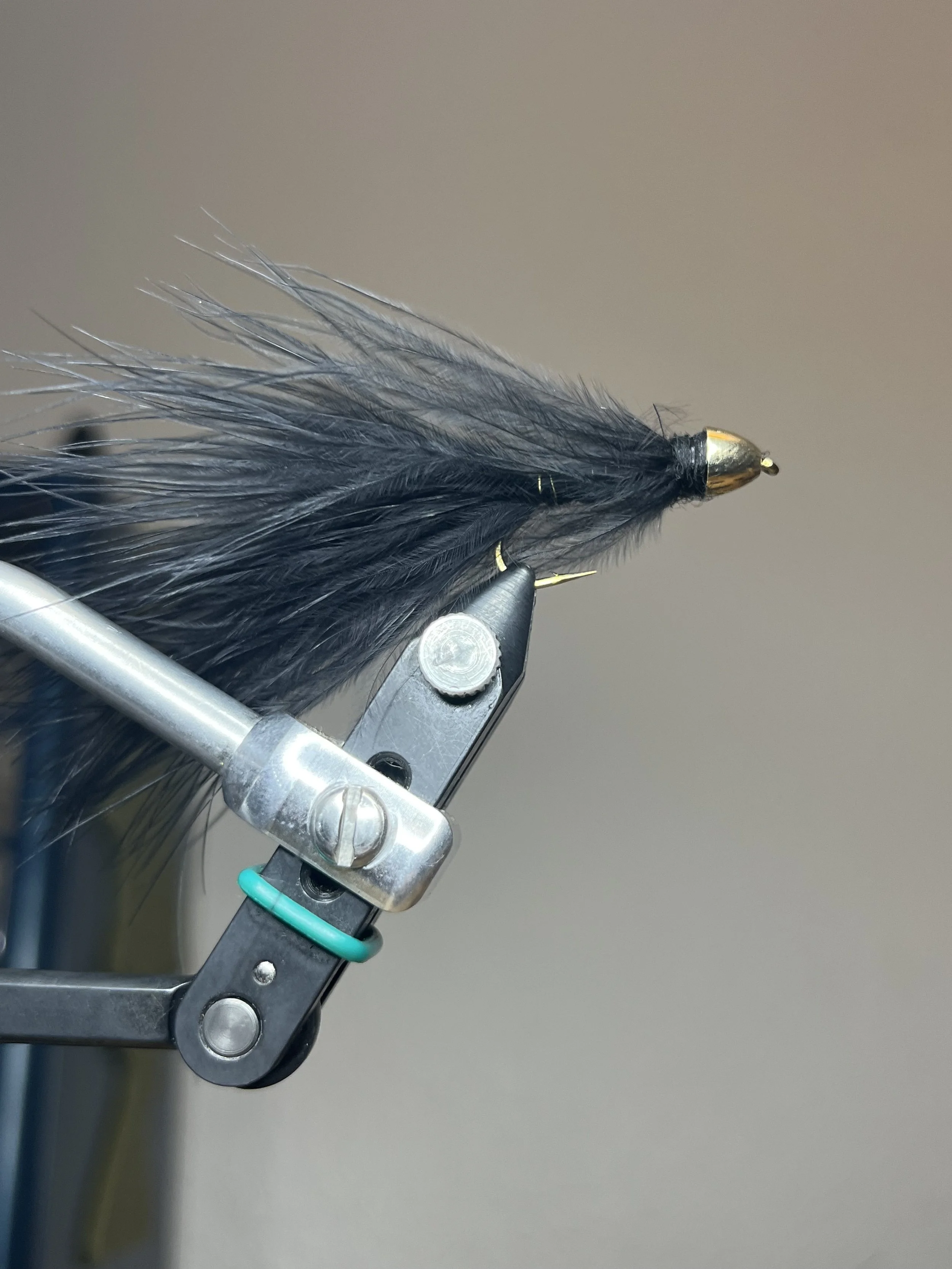 IMG_5419.jpeg