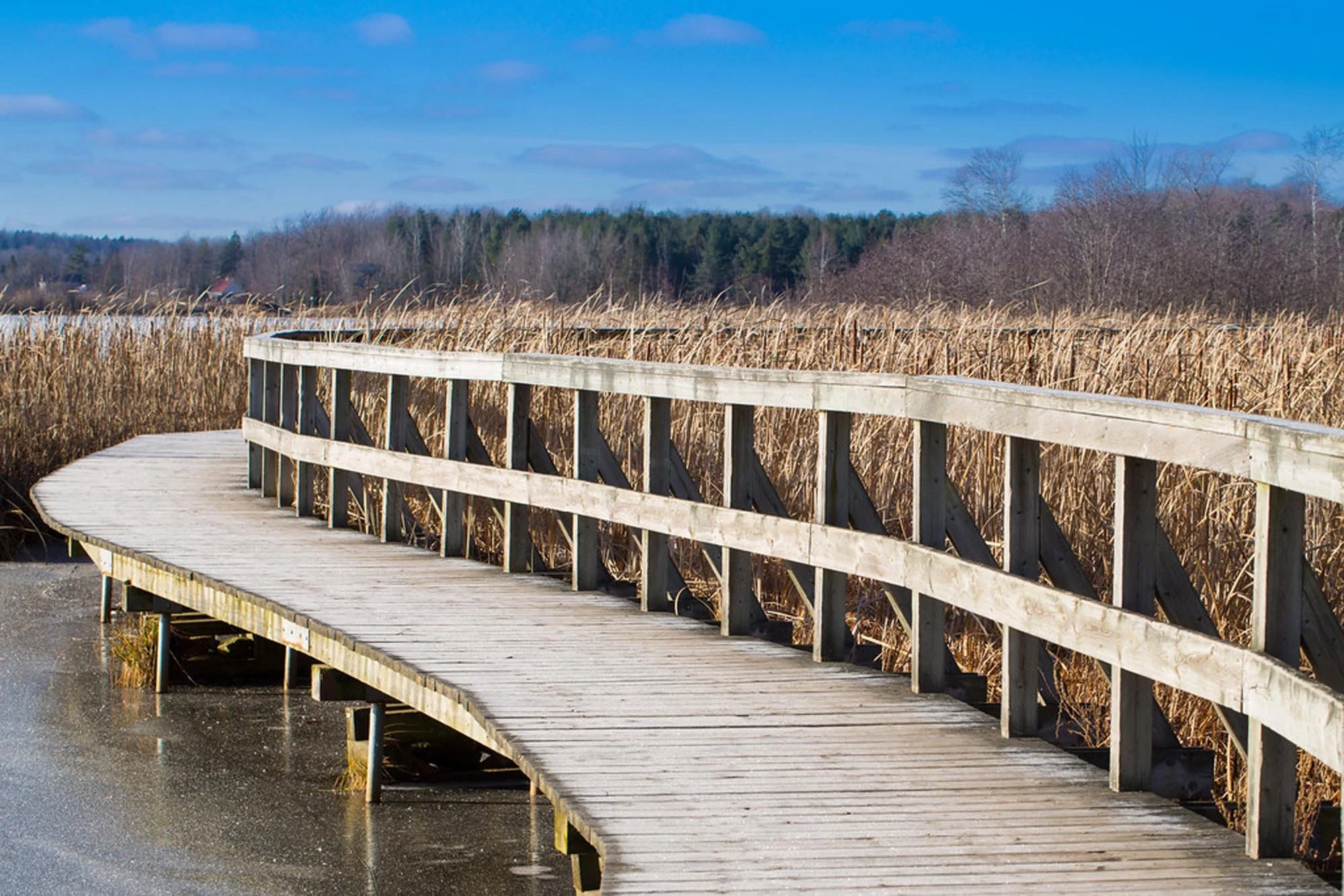Sortie autour du Lac Boivin