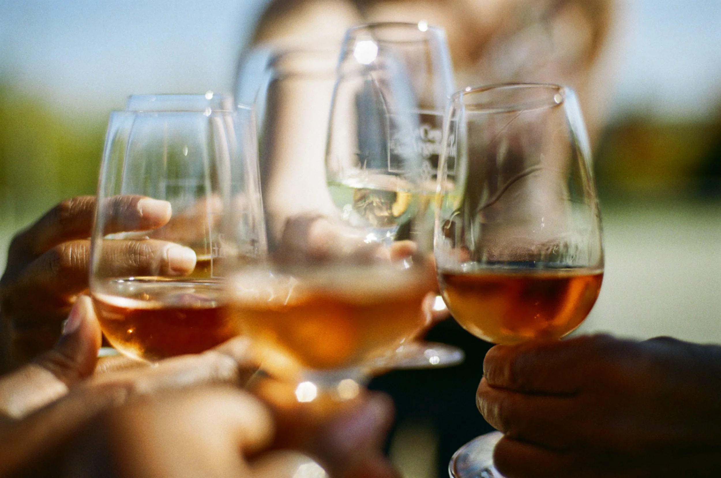 People holding glasses of rosé wine in a toast outdoors on a sunny day.