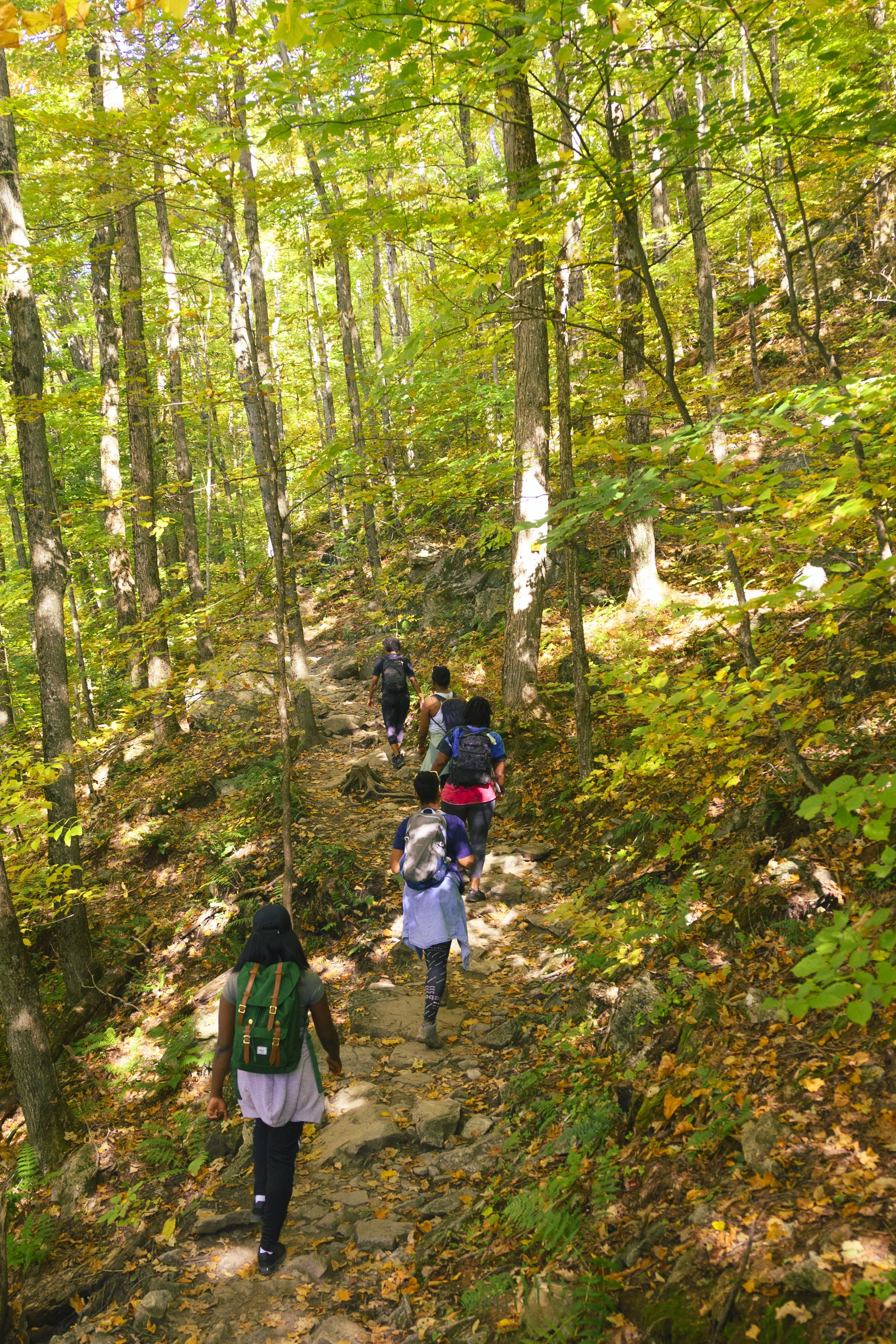 HAE - Orford Fall 2023-4.jpg