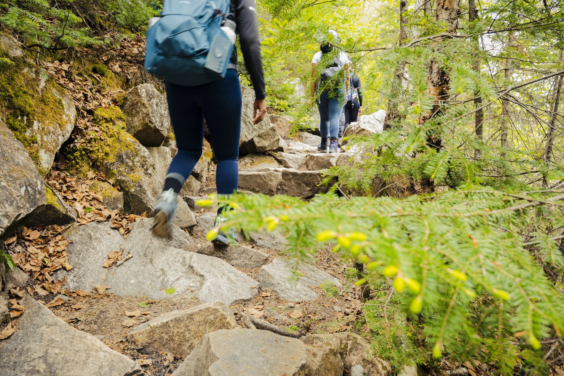 People hiking on a rocky trail surrounded by green trees and foliage.