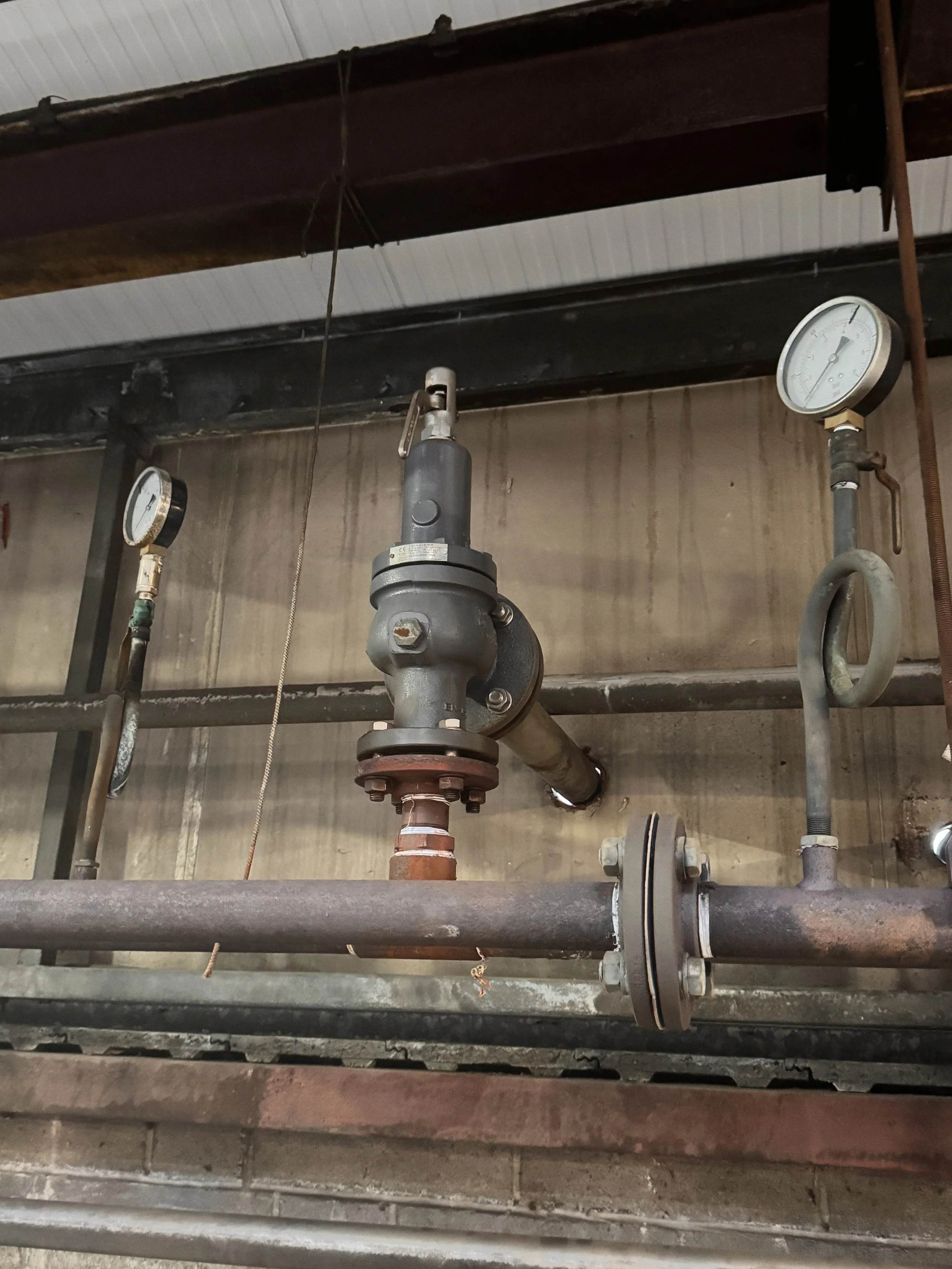 Industrial pipes and gauges in a mechanical or utility room.