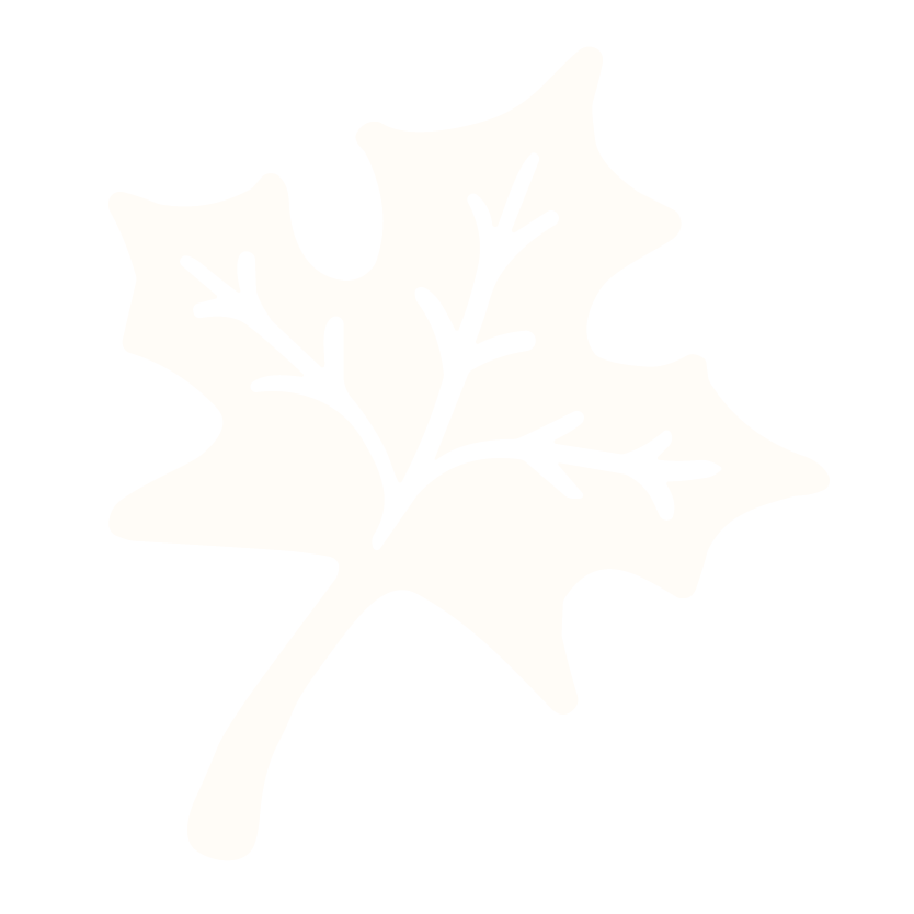 A black and white illustration of a maple leaf.