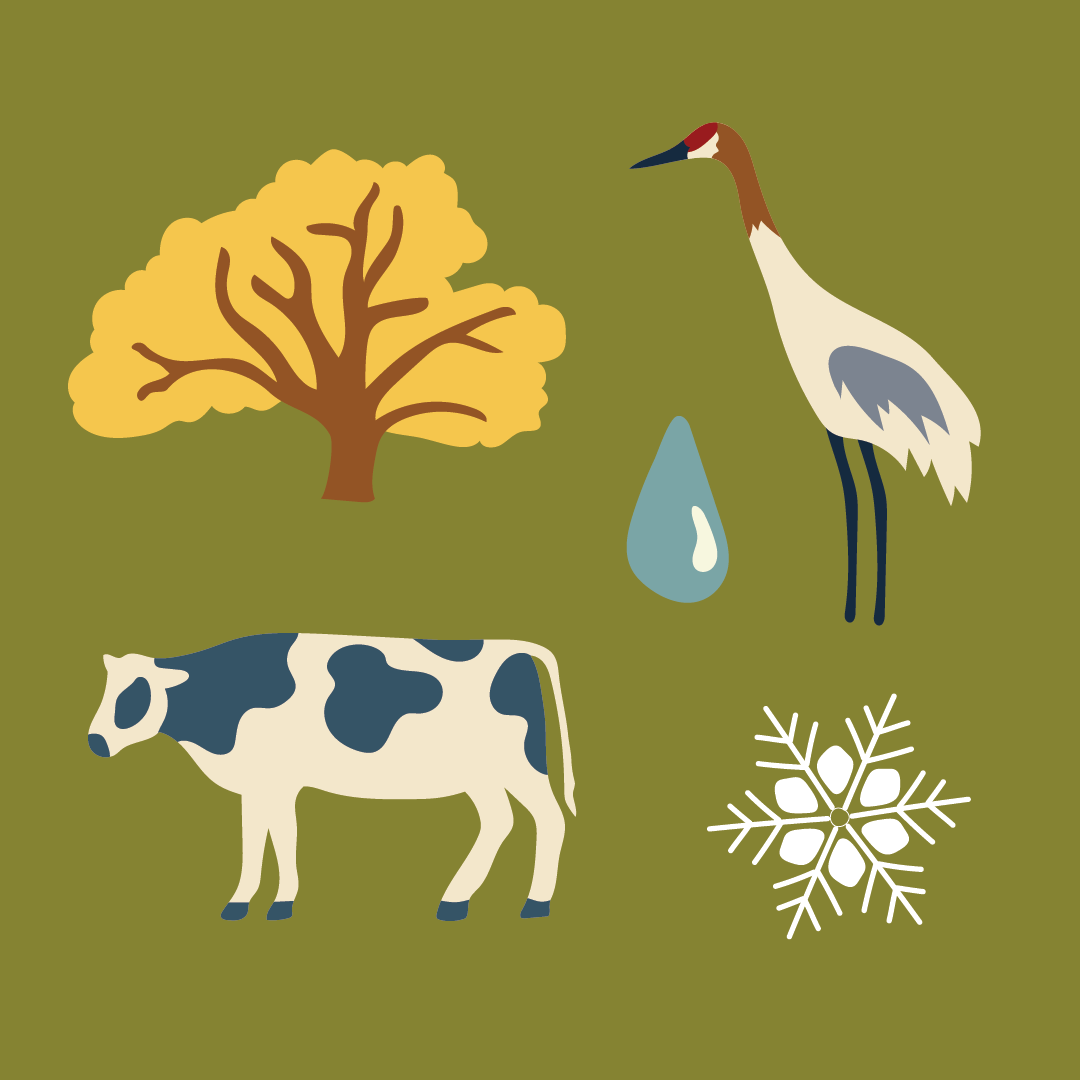 Friends of the Teton River