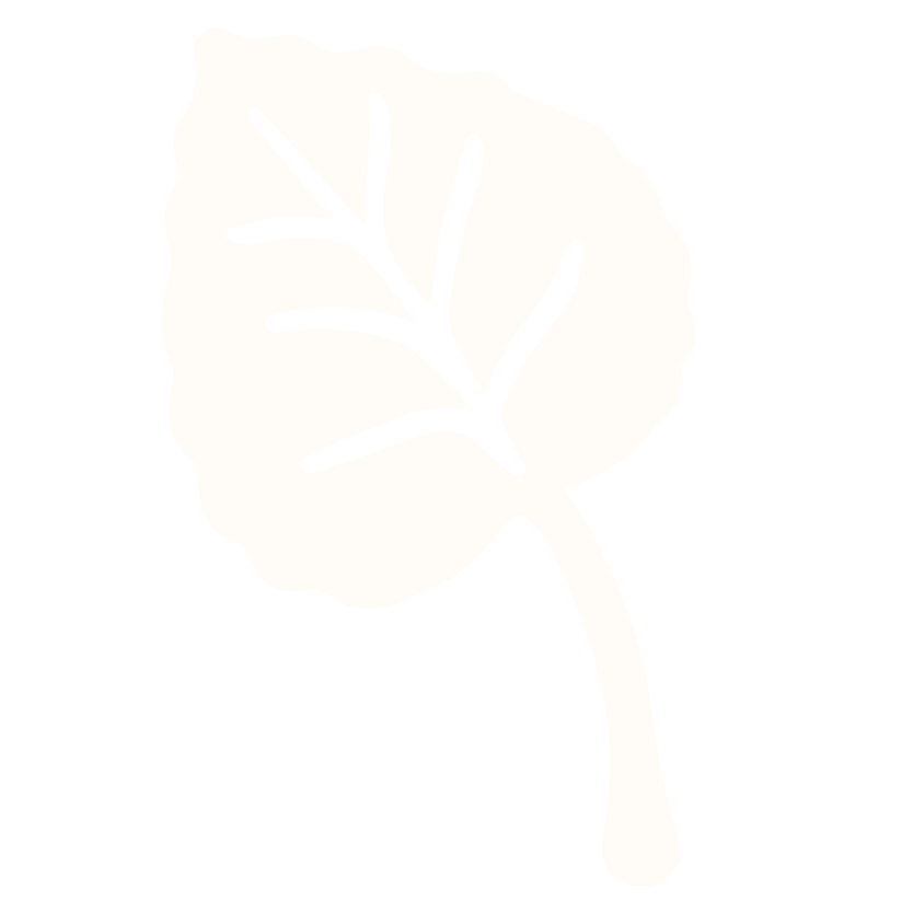 Black and white illustration of a leaf with prominent veins and a curved stem.
