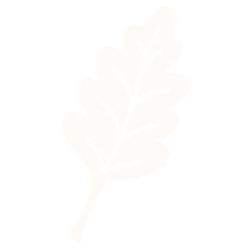 Black and white illustration of an oak leaf.