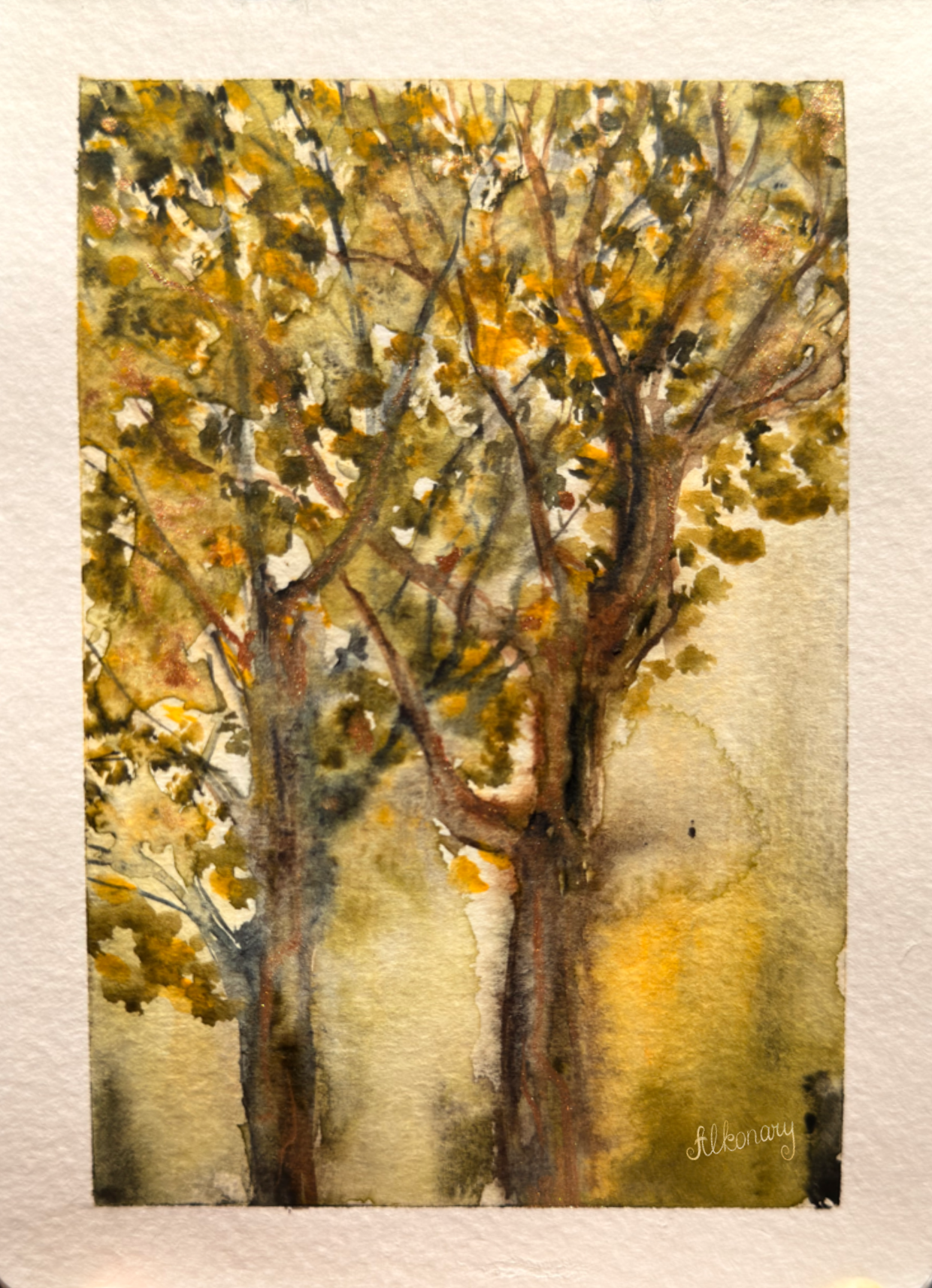 Trees_Summer_Alkonary.png