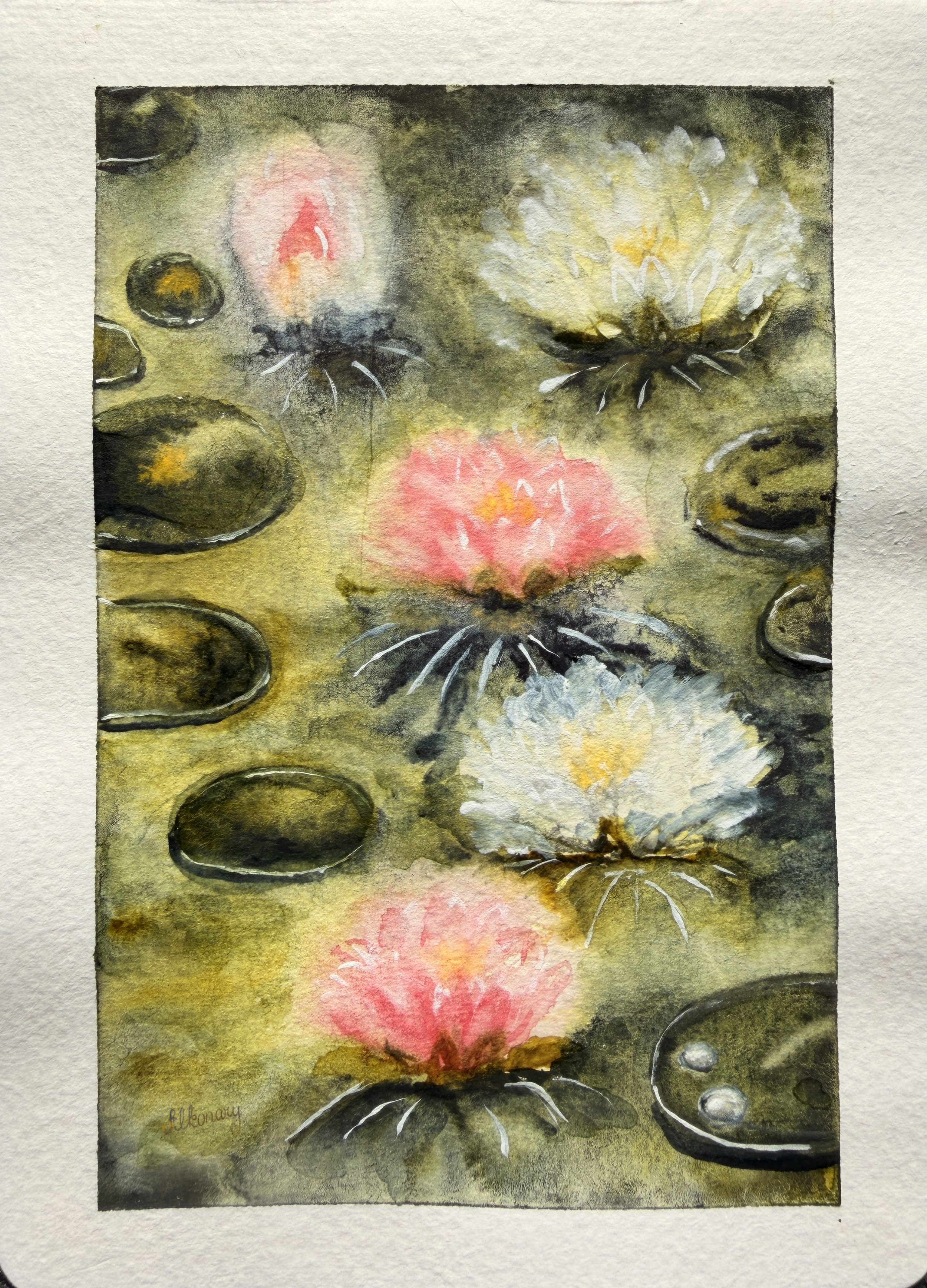 WaterLilies.png