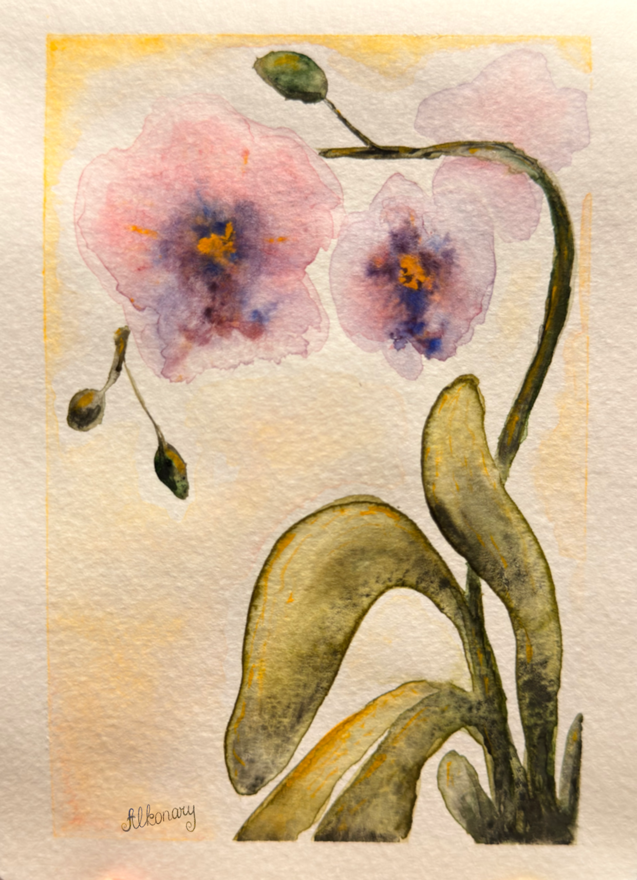 Orchid_Alkonary.png
