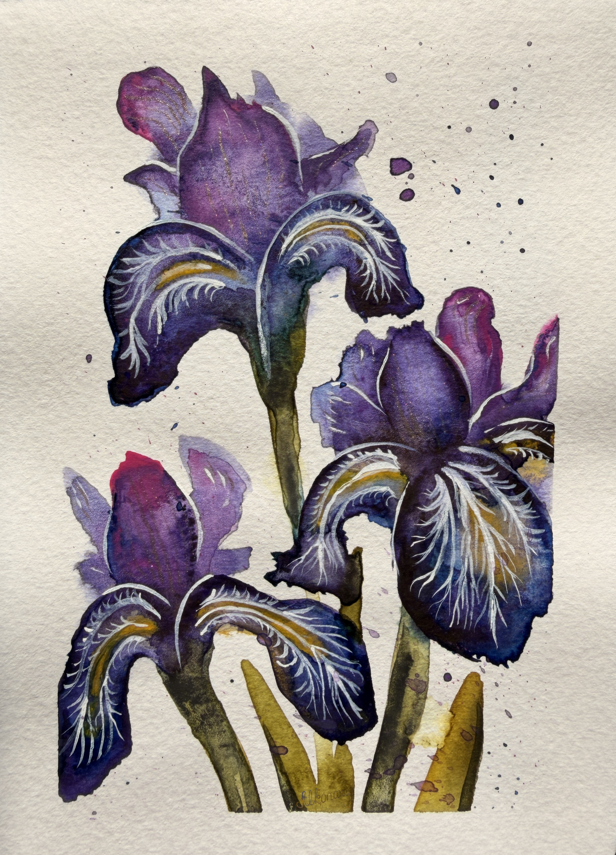 Irises.png