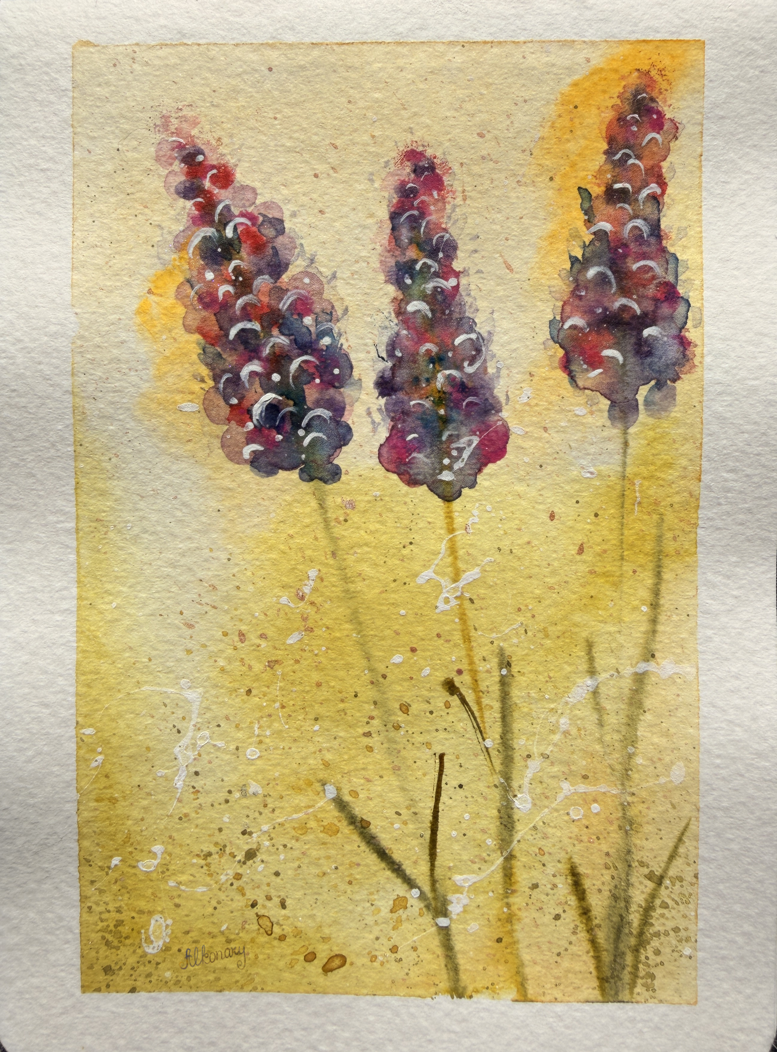 Lavender_yellow.png