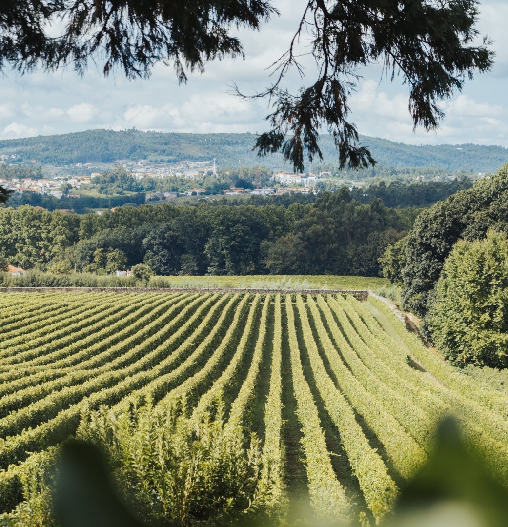 Romantic wine tasting in Tuscany during a luxury honeymoon in Italy