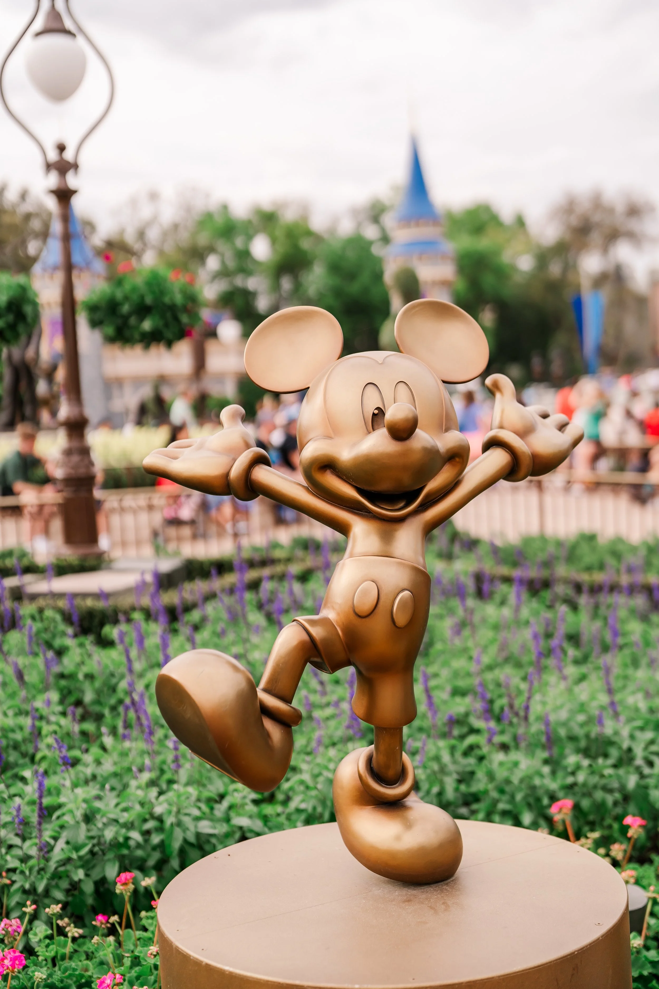 Family vacation to disney world