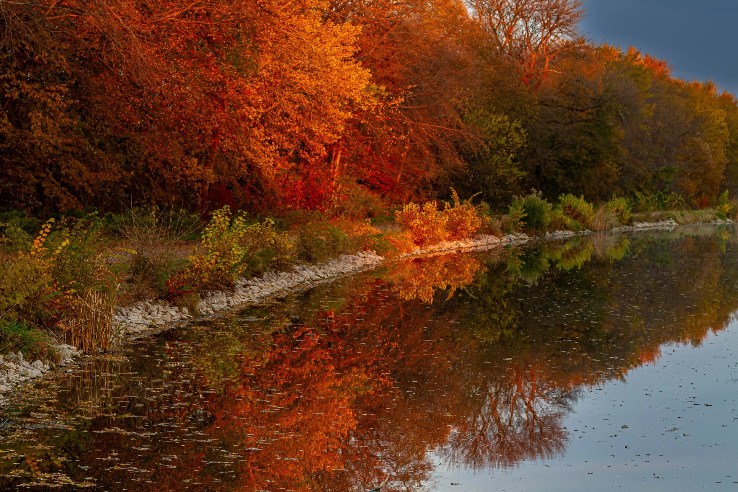 Autumn scene of colorful fall foliage reflected in a river.