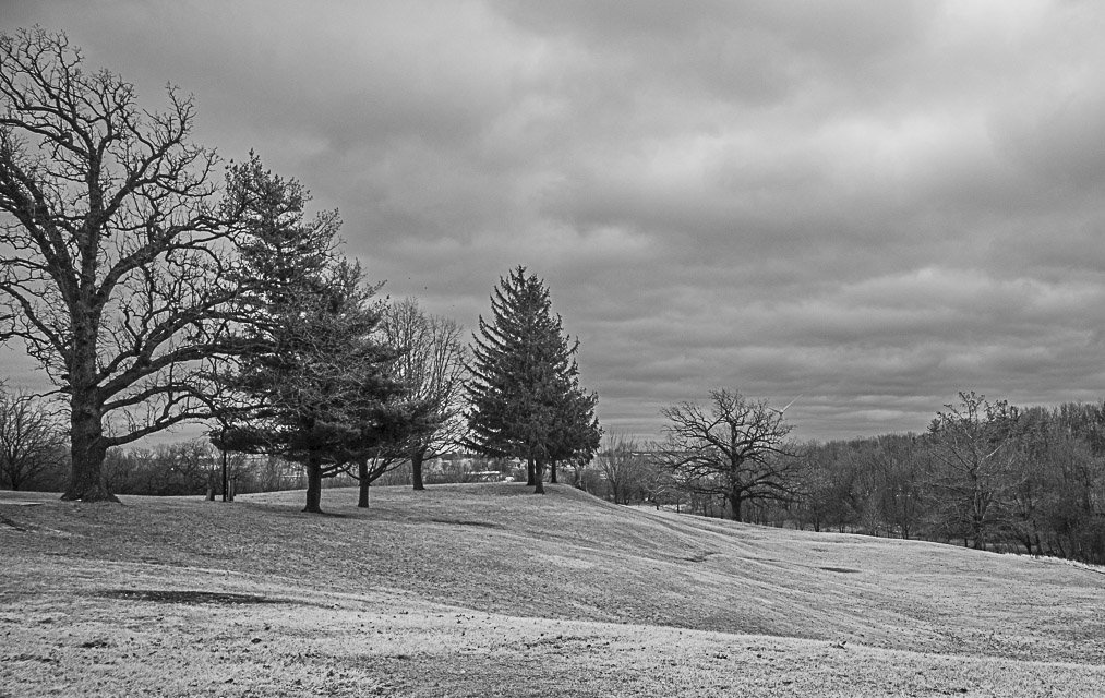 A black and white landscape photo of a hill with several leafless and evergreen trees under a cloudy sky.