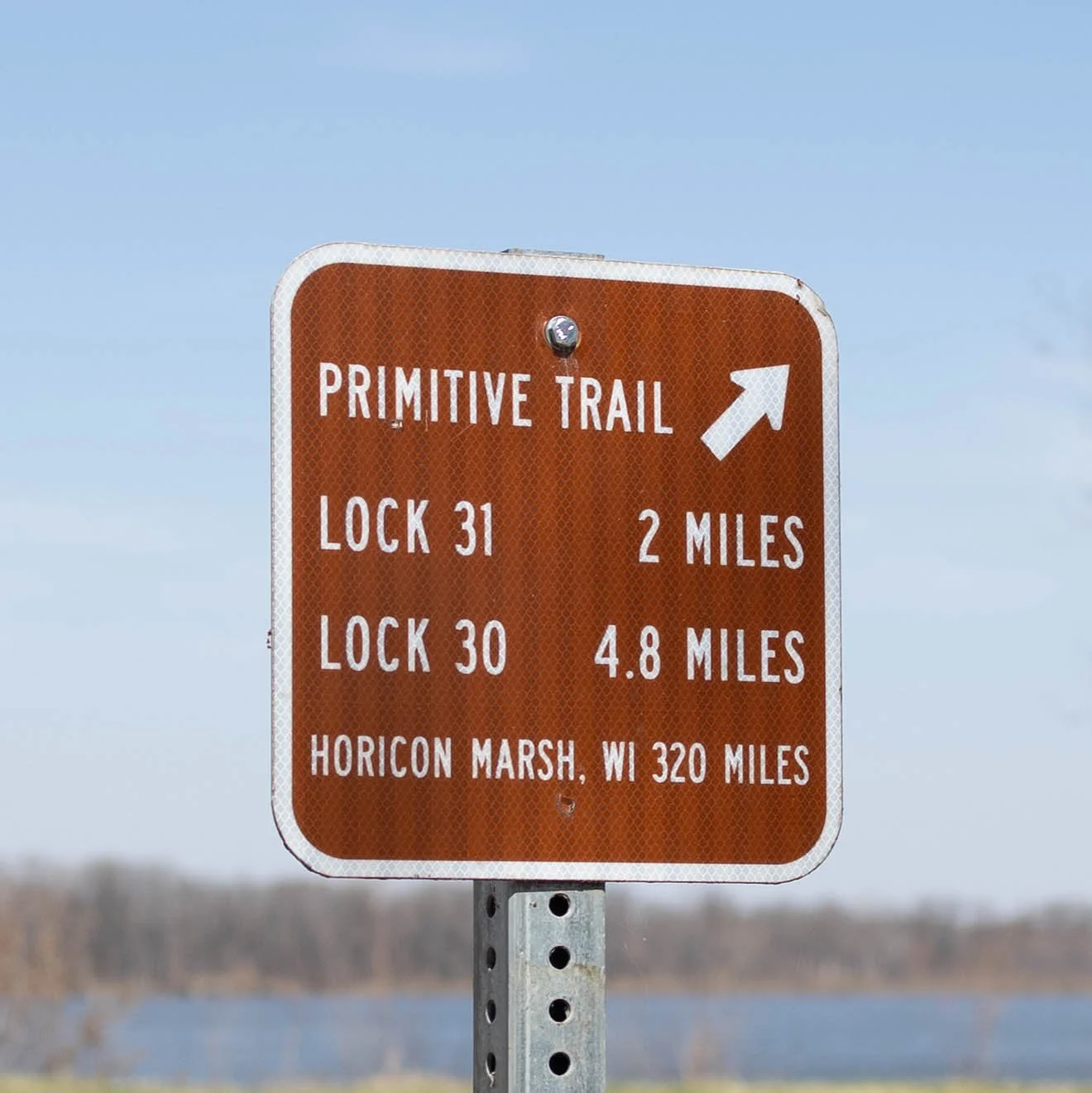 Brown trail sign indicating Primitive Trail with two listed distances: 2 miles to Lock 31 and 4.8 miles to Lock 30, and noting Horicon Marsh, WI is 320 miles away.