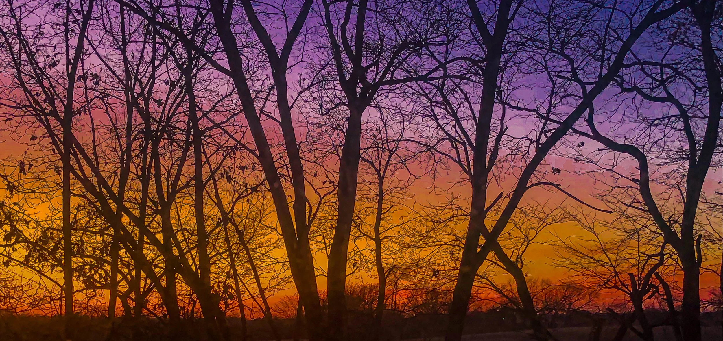 Silhouettes of leafless trees against a colorful sunset sky with shades of purple, pink, orange, and yellow.