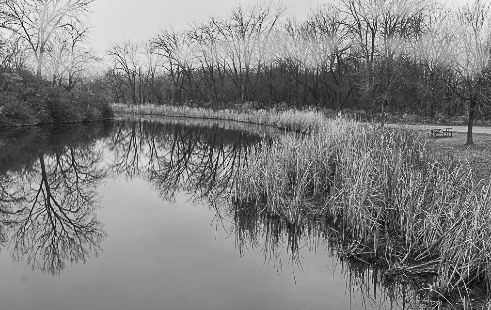 A black-and-white photo of a calm river with tall grasses along the banks, surrounded by leafless trees, with their reflections visible in the water. A park bench is in the distance on the right side.