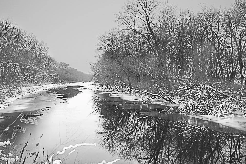 Snow-covered trees and bushes along the banks of a partially frozen river during winter.