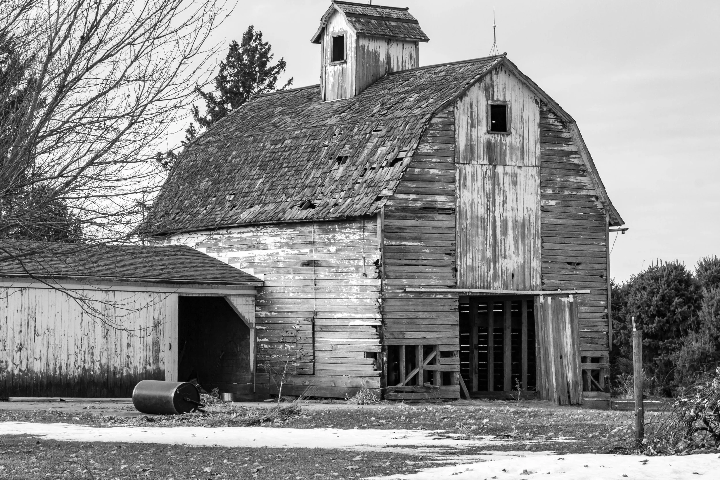 Old, weathered wooden barn with peeling paint and damaged roof, surrounded by leafless trees and bushes, with patches of snow on the ground.
