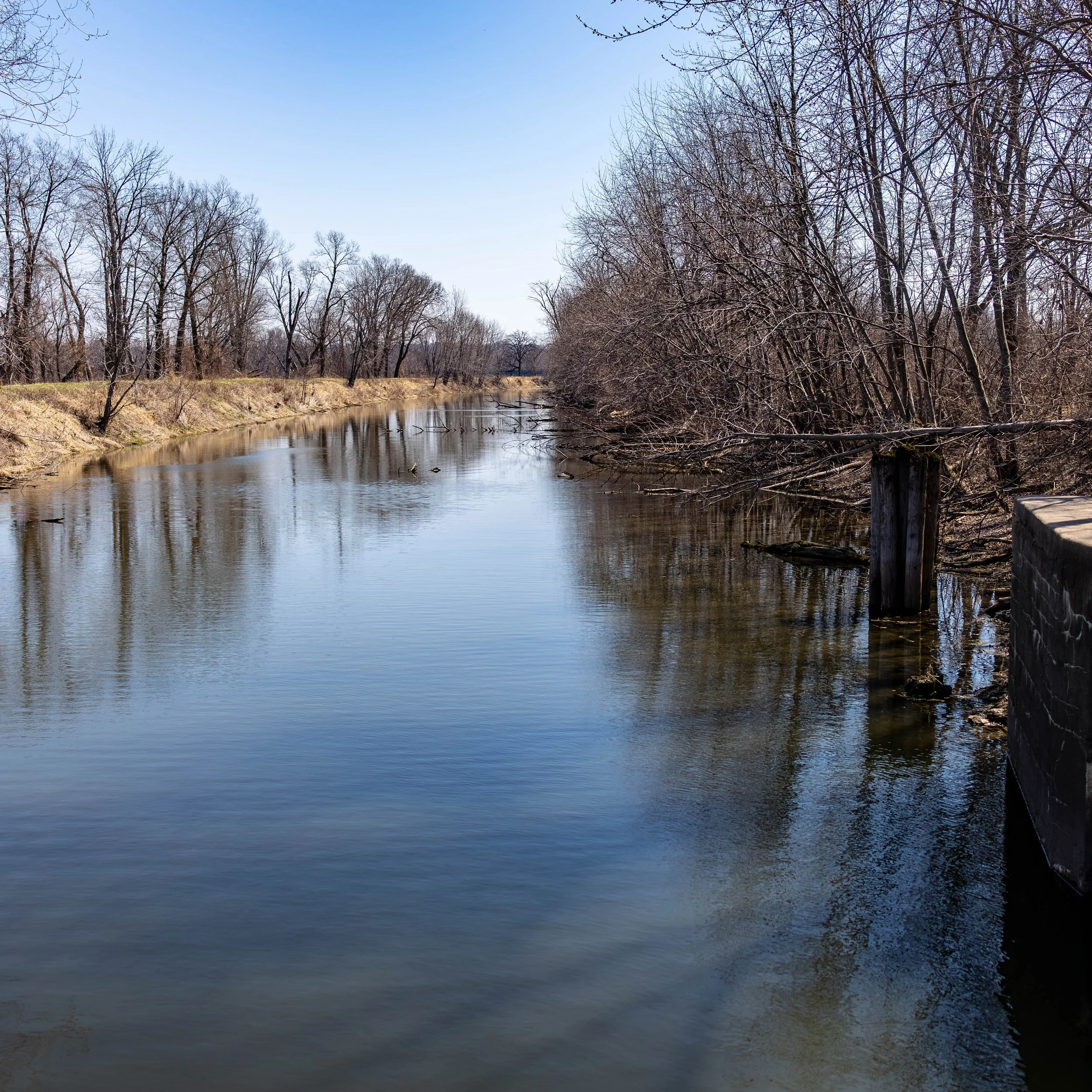 A calm river with bare trees on both sides during early spring or late winter, under a clear blue sky.