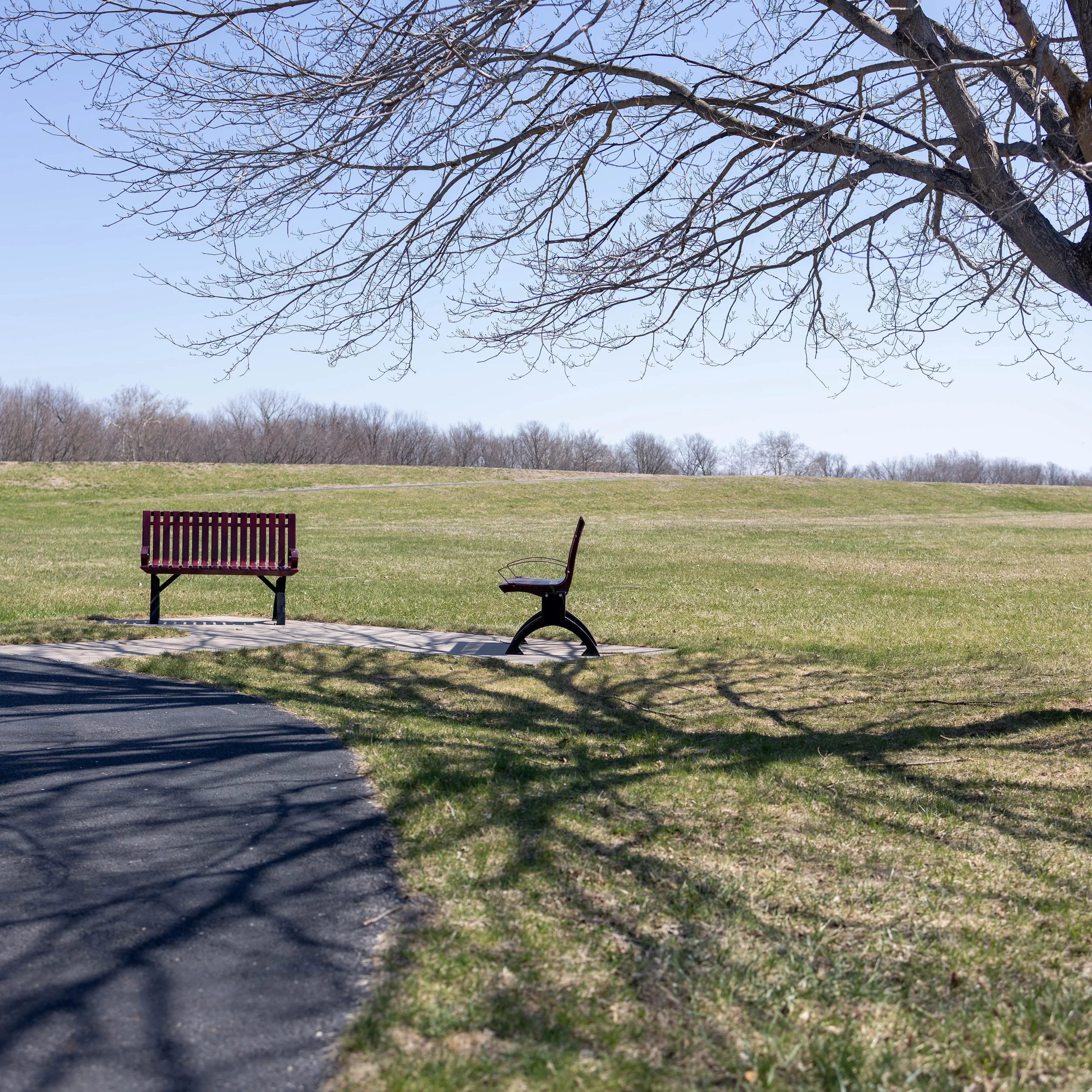 A park scene with a red bench, a single park bench, and a swing on a sunny day with a clear blue sky, leafless tree branch at the top, grassy field in the background, and shadows on the ground.