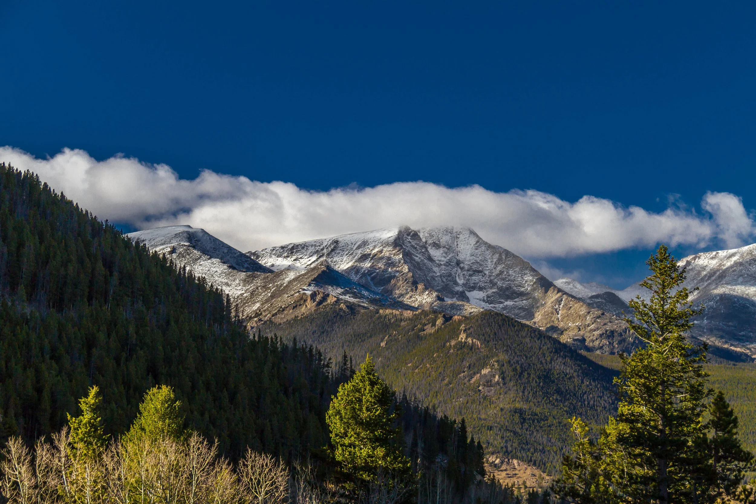 Snow-capped mountains with green forests and trees in the foreground under a blue sky with clouds.