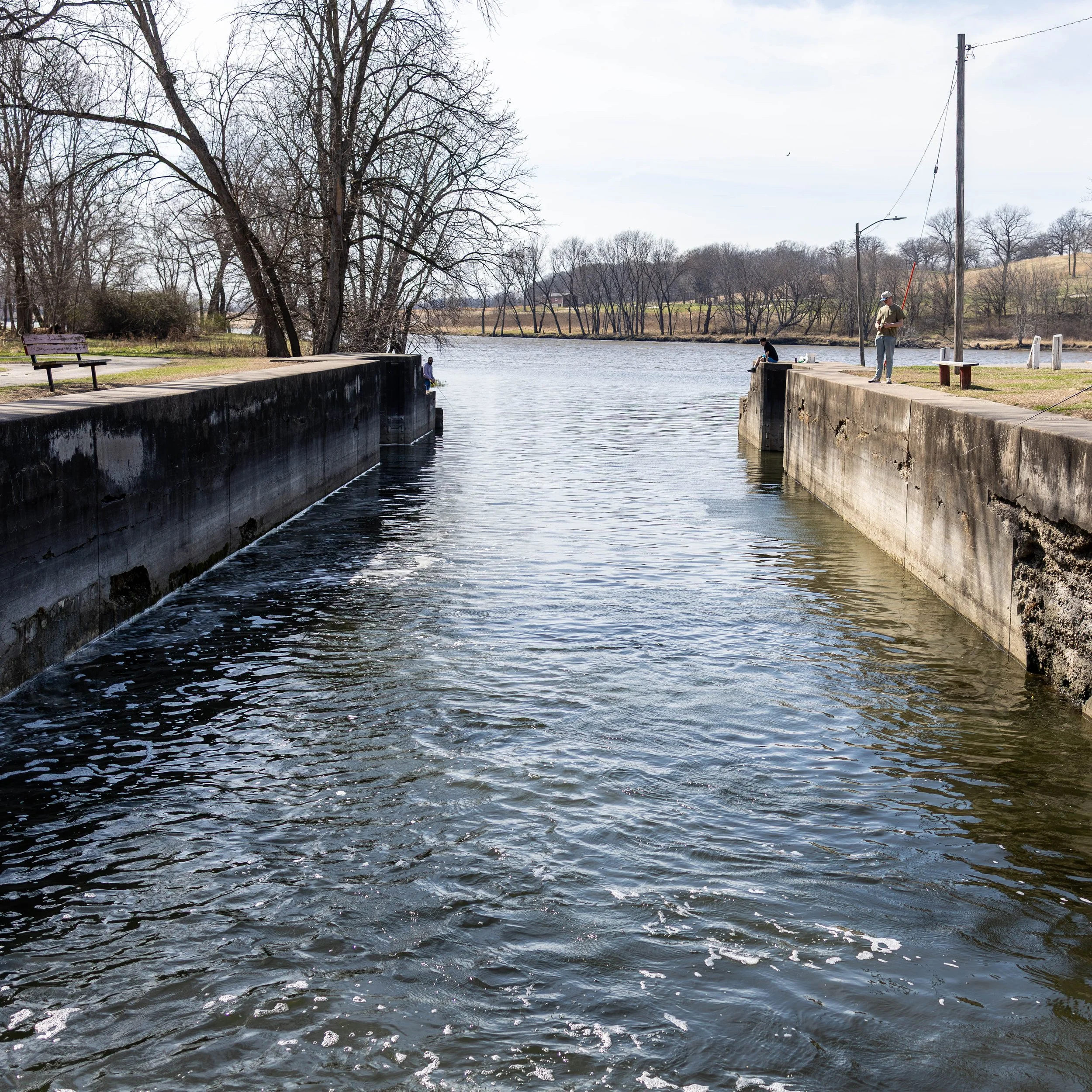 People fishing off a concrete canal on a clear day, trees in the background, utility poles and water.