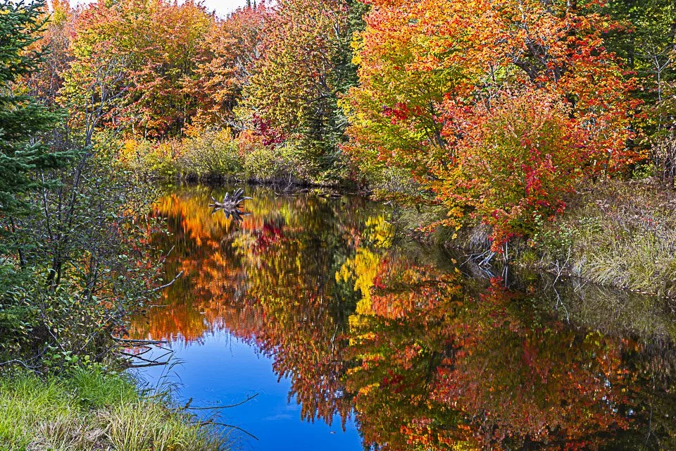 Colorful autumn trees with red, yellow, and orange leaves reflecting in a calm river.