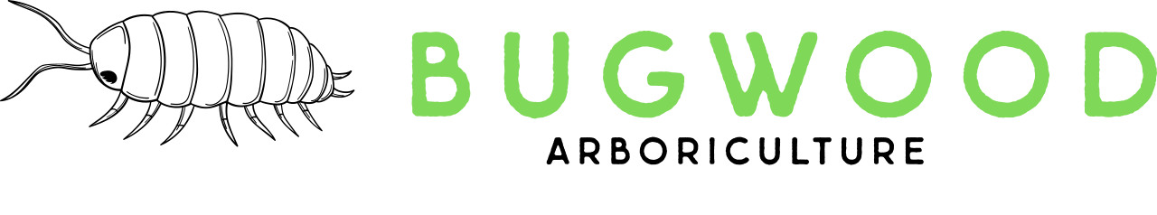 Bugwood