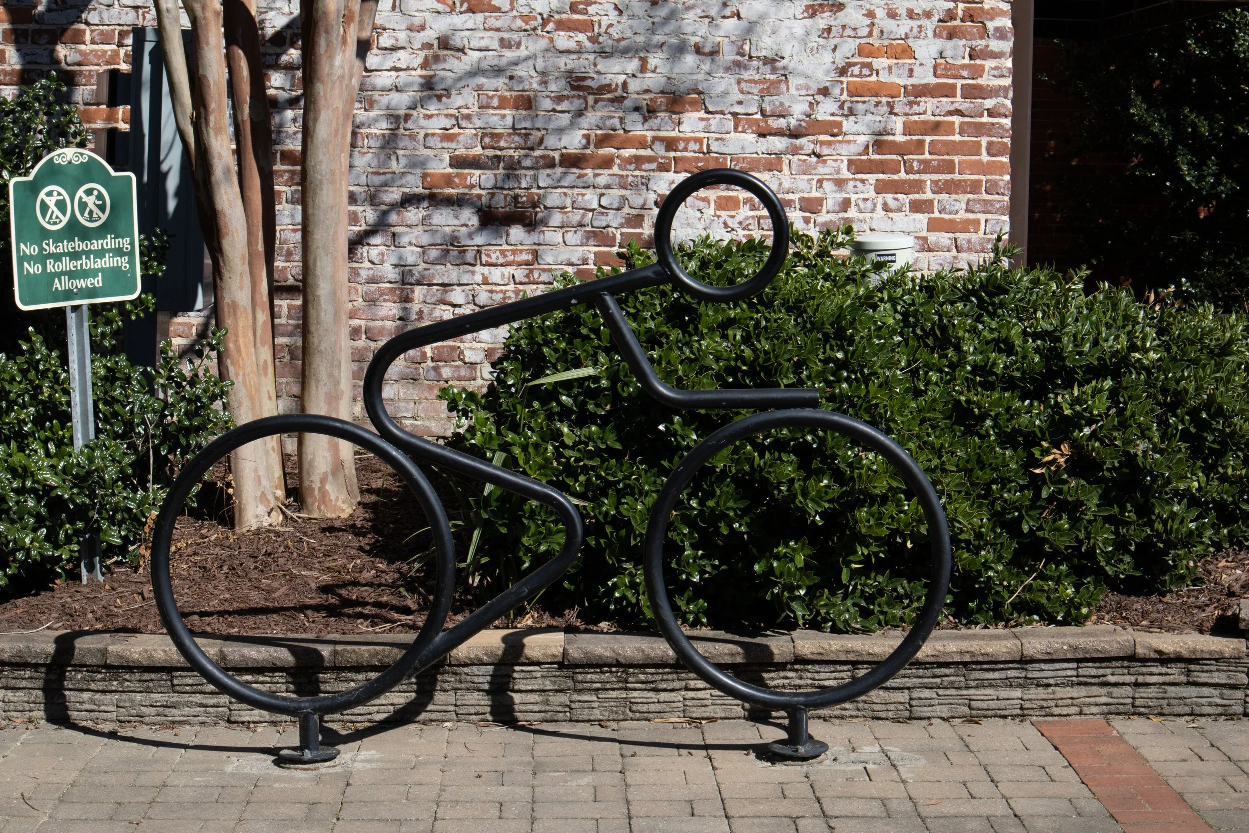 Line Cyclist