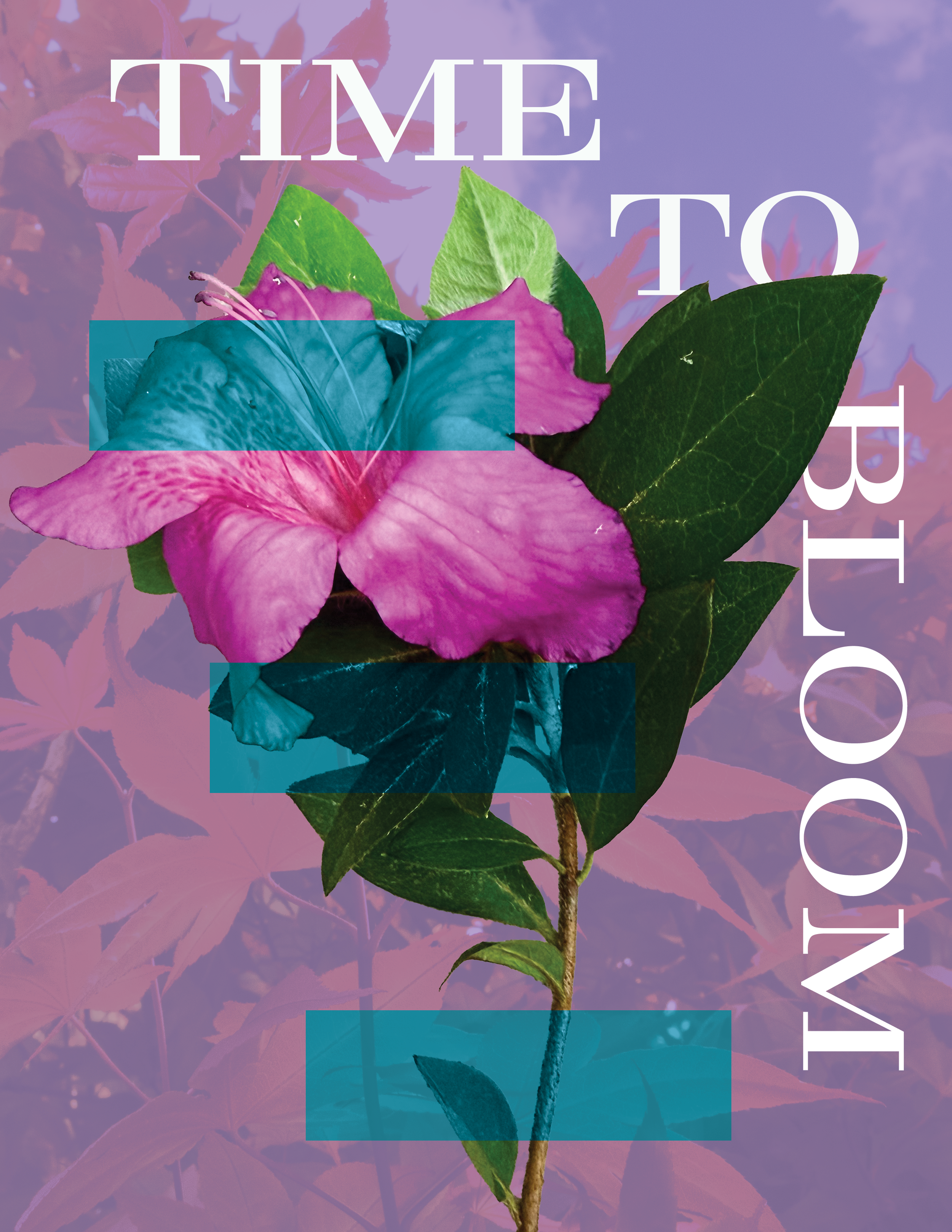Flower Poster pt1