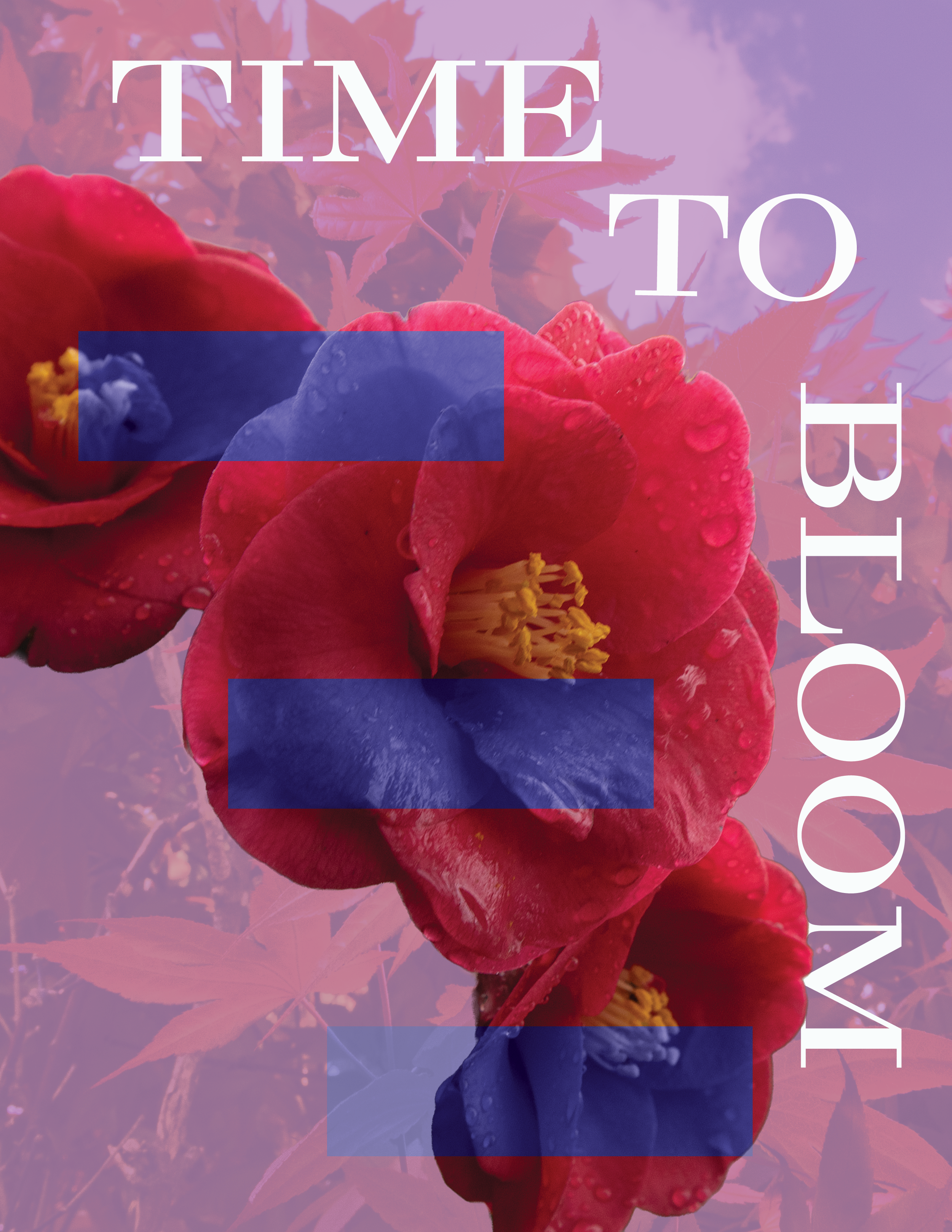 Flower Poster pt2