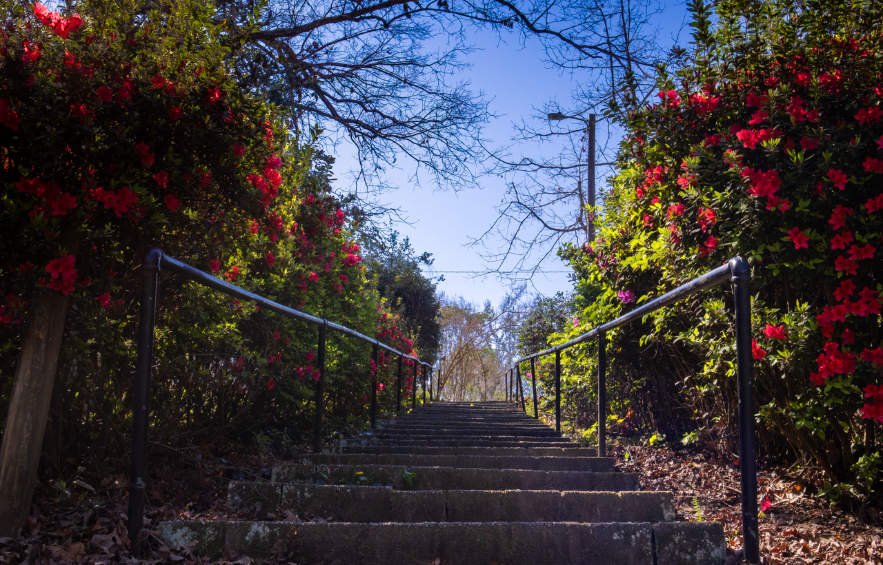 flowerstairs Large.png