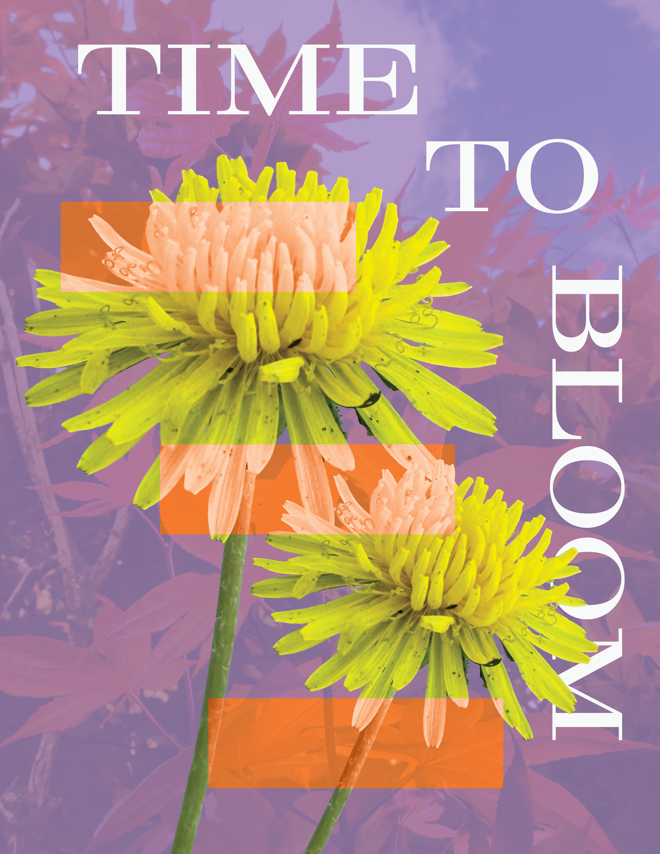 Flower Poster pt3